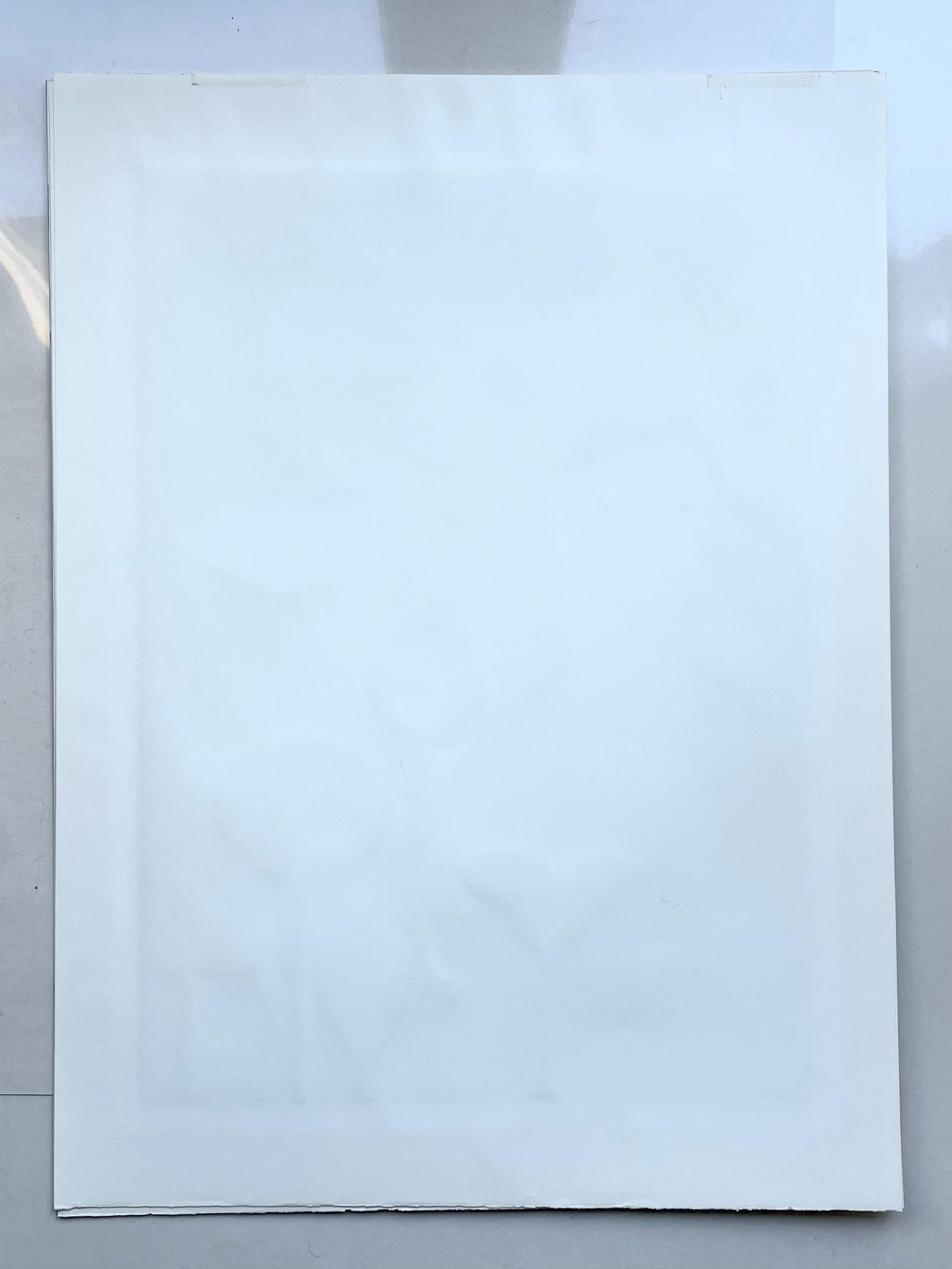 Leonor Fini, rara serigrafía original sobre papel Rives, hacia 1970 en venta 6