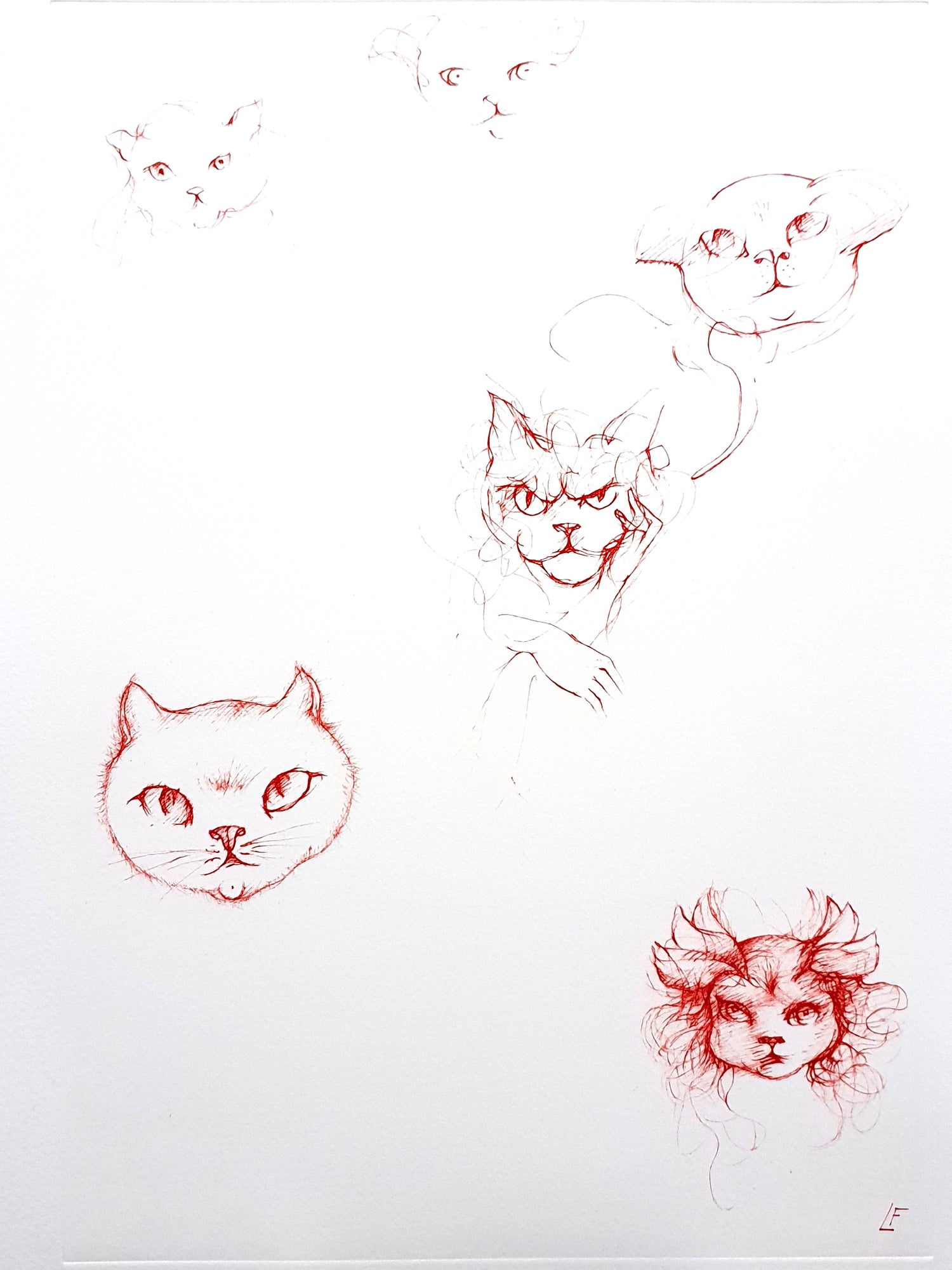 Leonor Fini Leonor Fini Red Cats Original Etching For Sale
