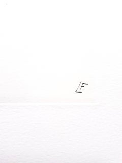 Leonor Fini - Chats surréalistes - eau-forte originale