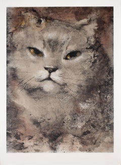 Untitled (Cat portrait)