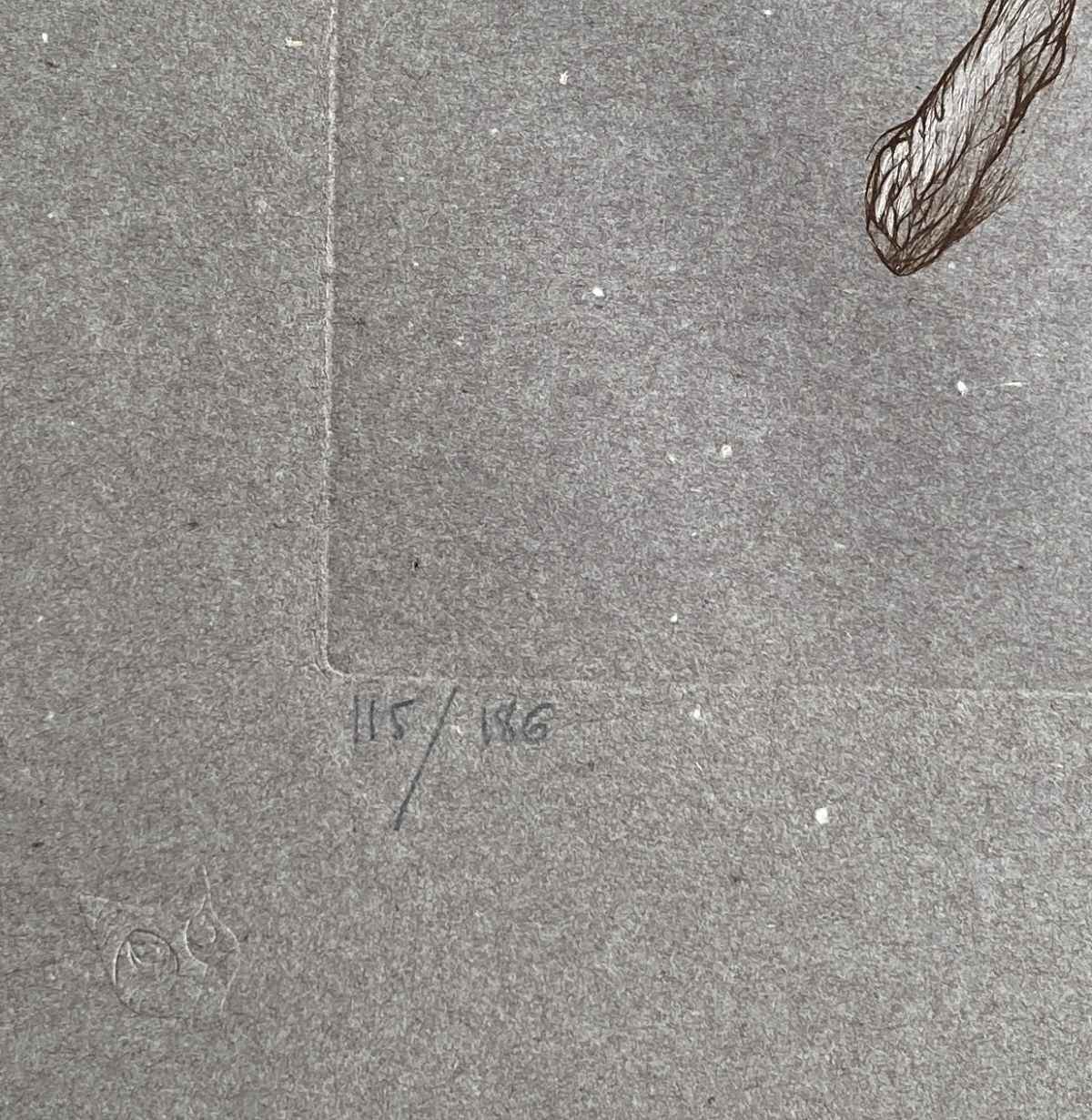 Woman & Surrealist Strawberries - Original Etching Hand Signed & Numbered 2