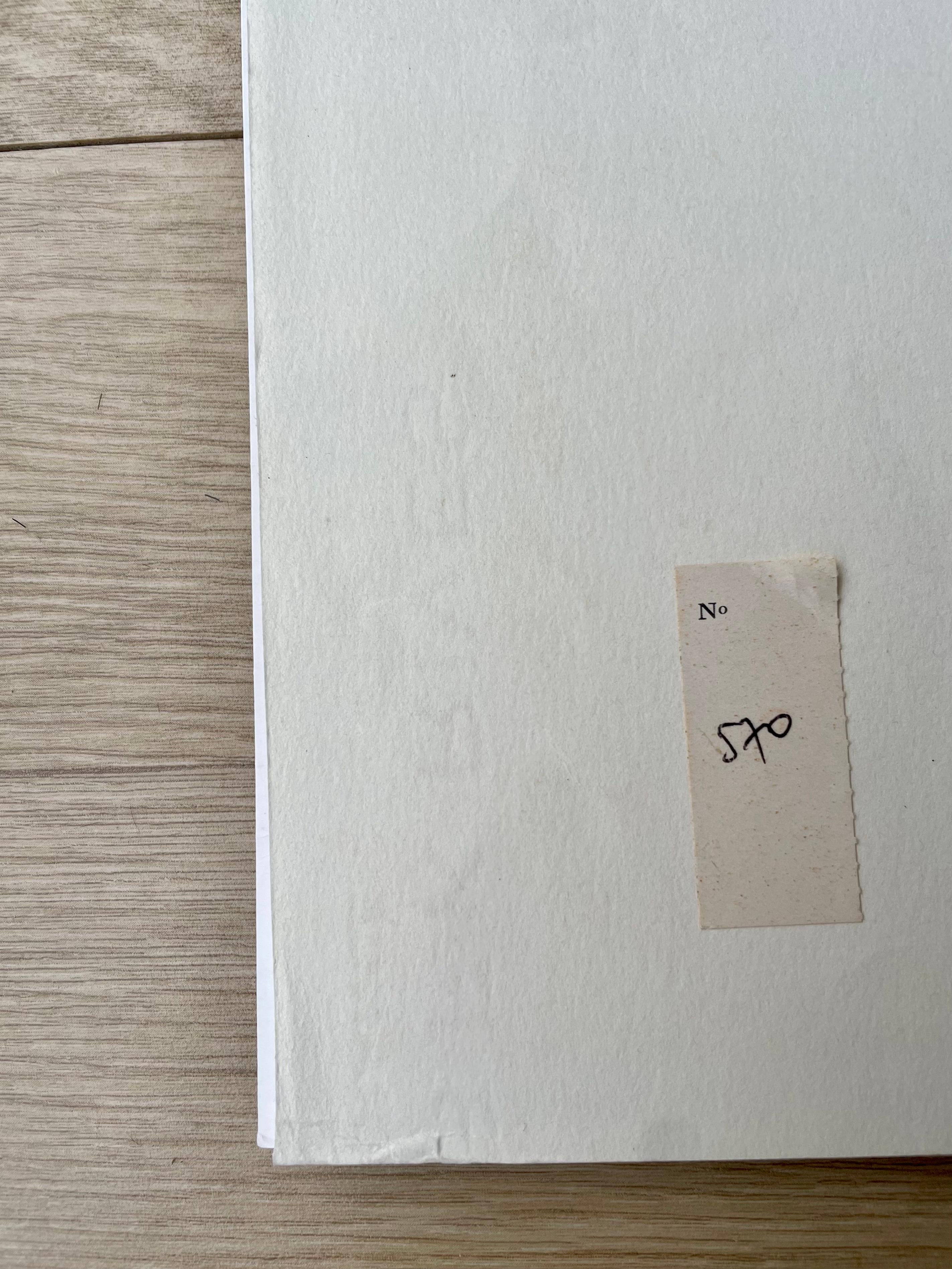 Leonor Fini – Sphinx Ariene, seltener Druck auf Papier im Angebot 1