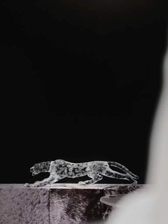 Leopard by GORDON GU