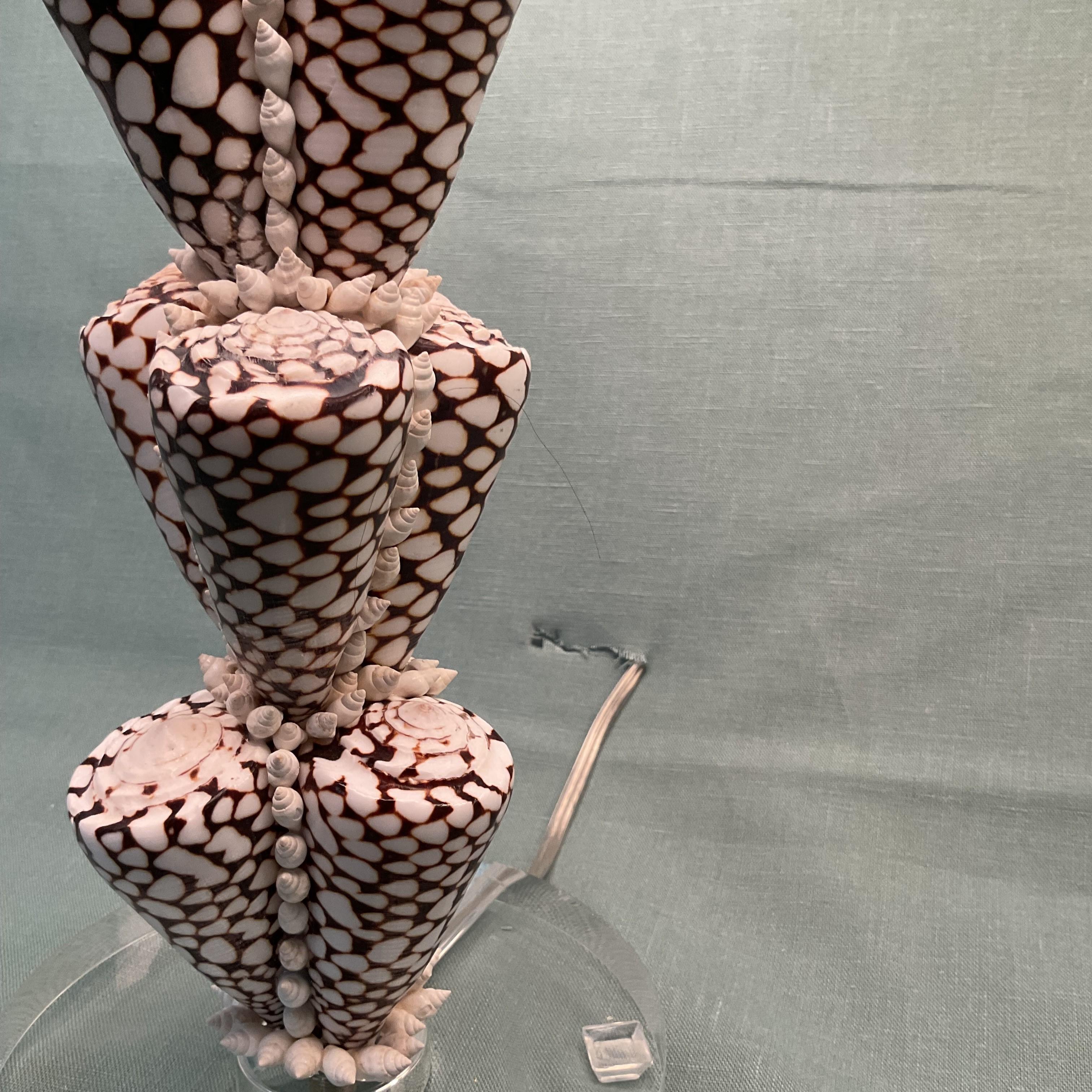 Coquillage Lampes de table en forme de cône léopard avec abat-jour et fleurons corail en vente