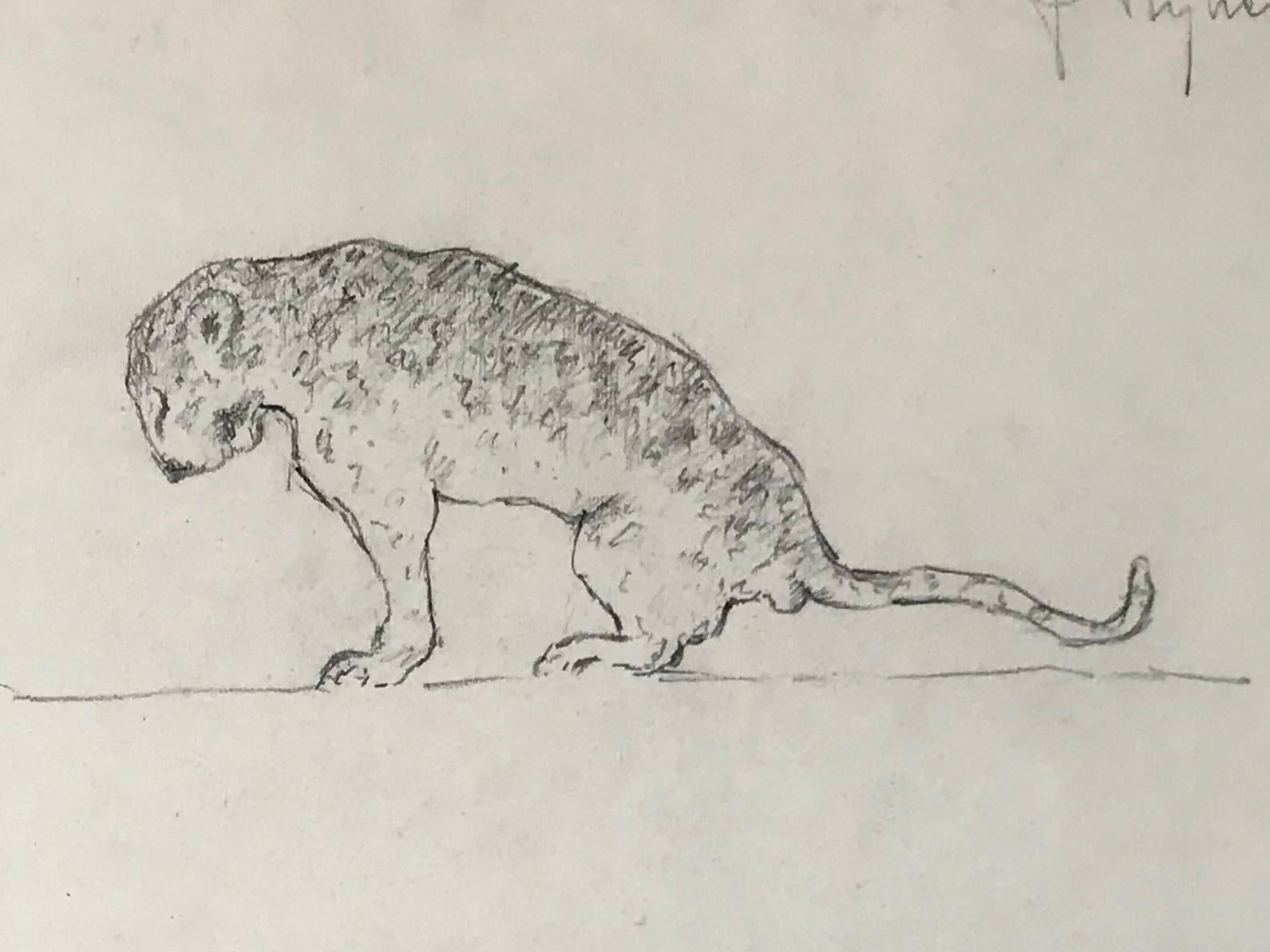 Leopard drawing, Guido Righetti, 1919. Original vintage Italian pencil drawings/sketches of a leopard in various poses from a series undertaken by Righetti for his sculptures in bronze including a boar, an elephant, a black cassoary, a white