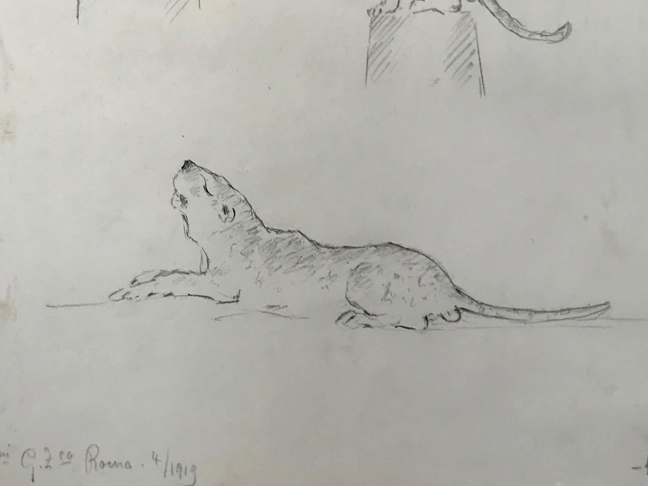 Leopard Drawing, Guido Righetti, 1919 In Good Condition In New York, NY