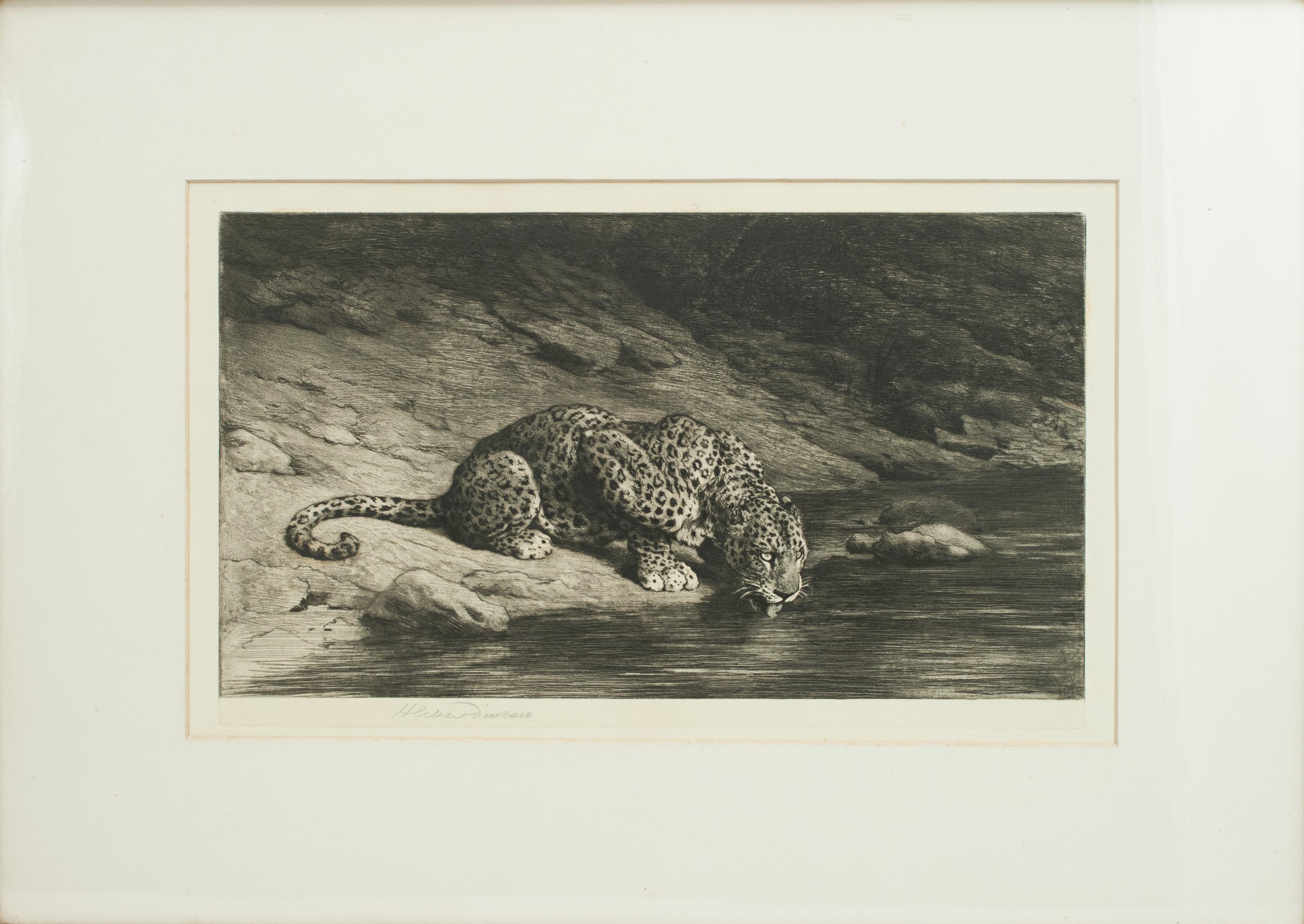Sporting Art Leopard Drinking from the River by Herbert Dicksee, Drinking at the Waters Edge 