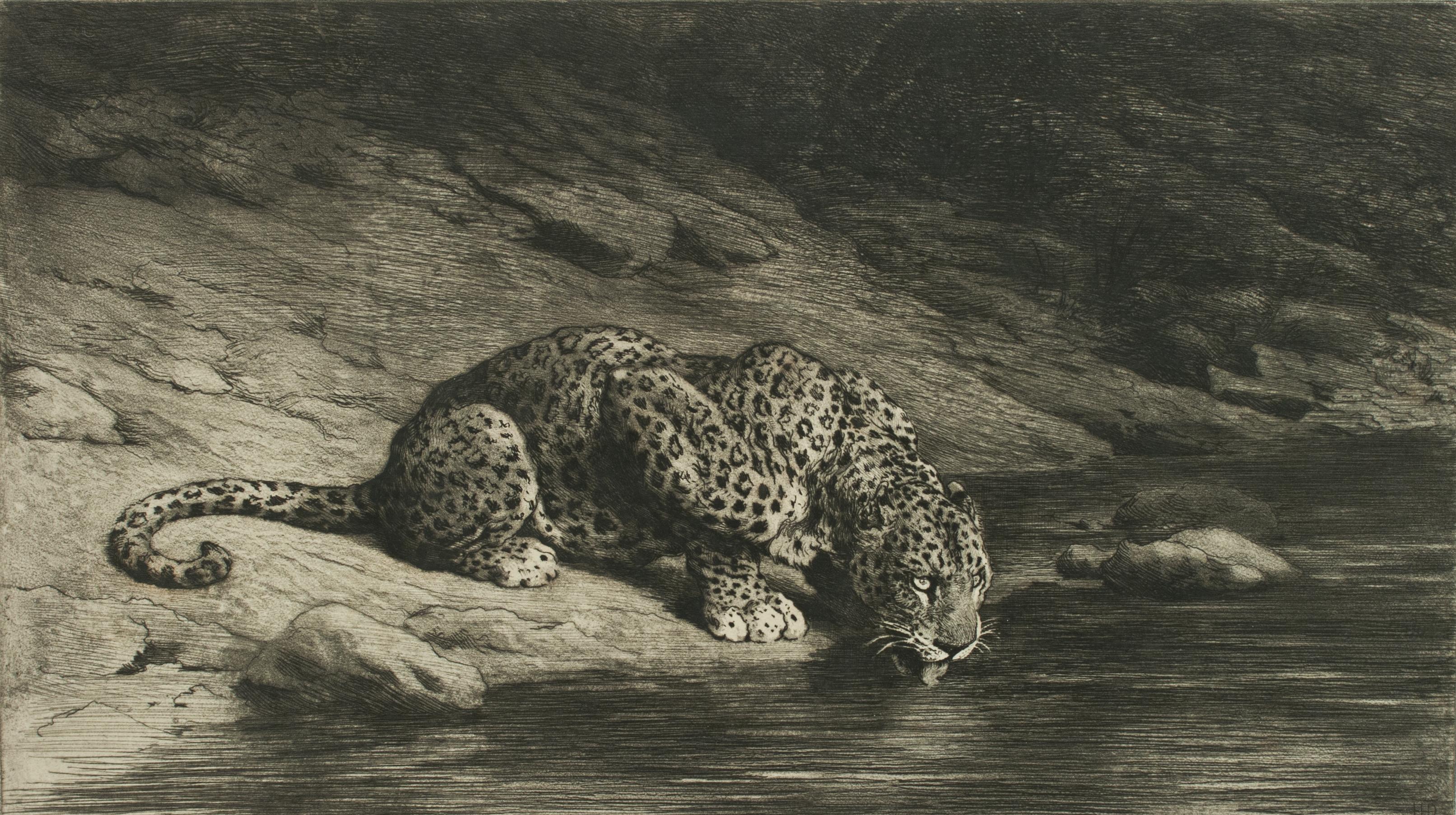 English Leopard Drinking from the River by Herbert Dicksee, Drinking at the Waters Edge 