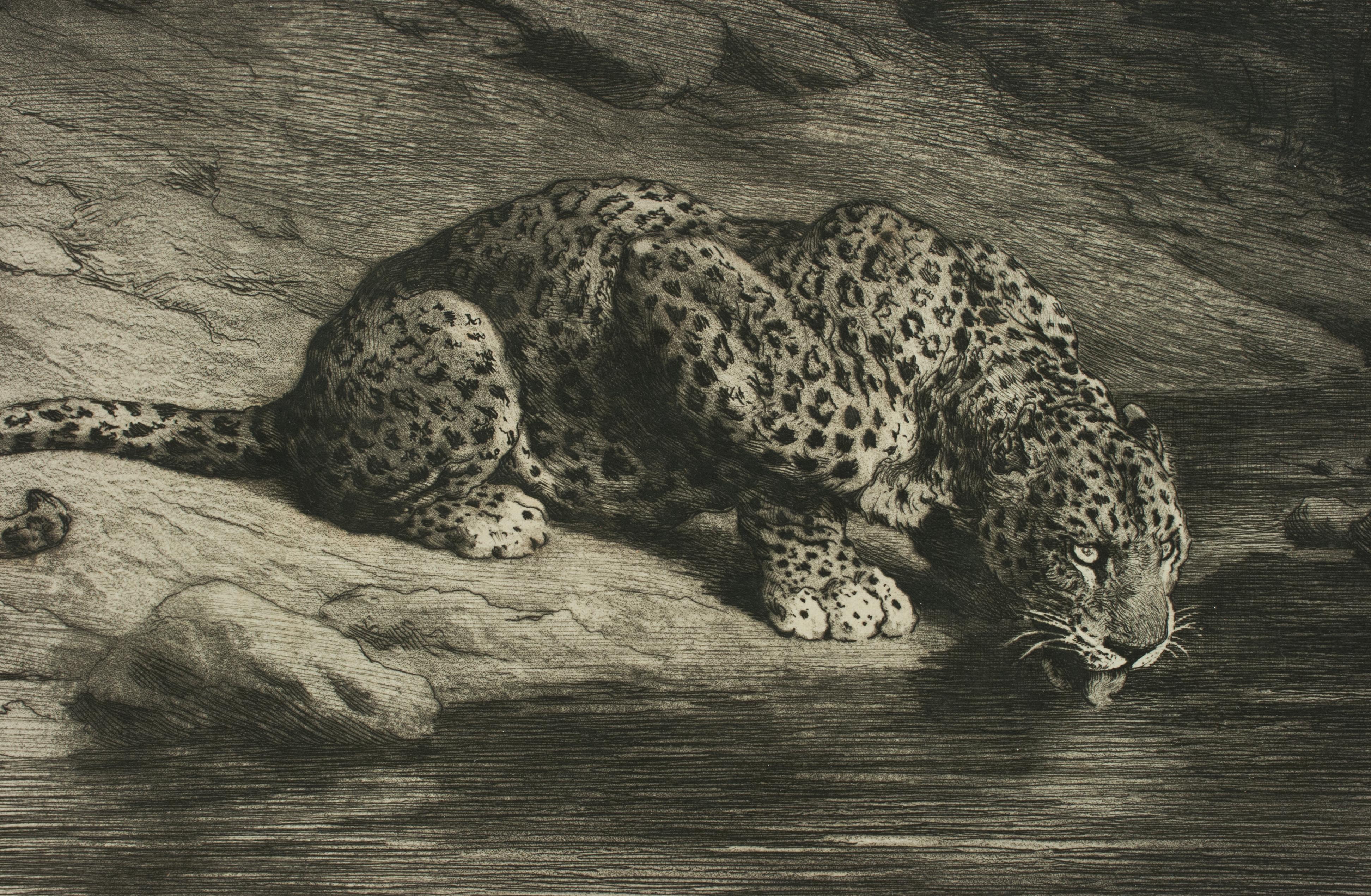 20th Century Leopard Drinking from the River by Herbert Dicksee, Drinking at the Waters Edge 