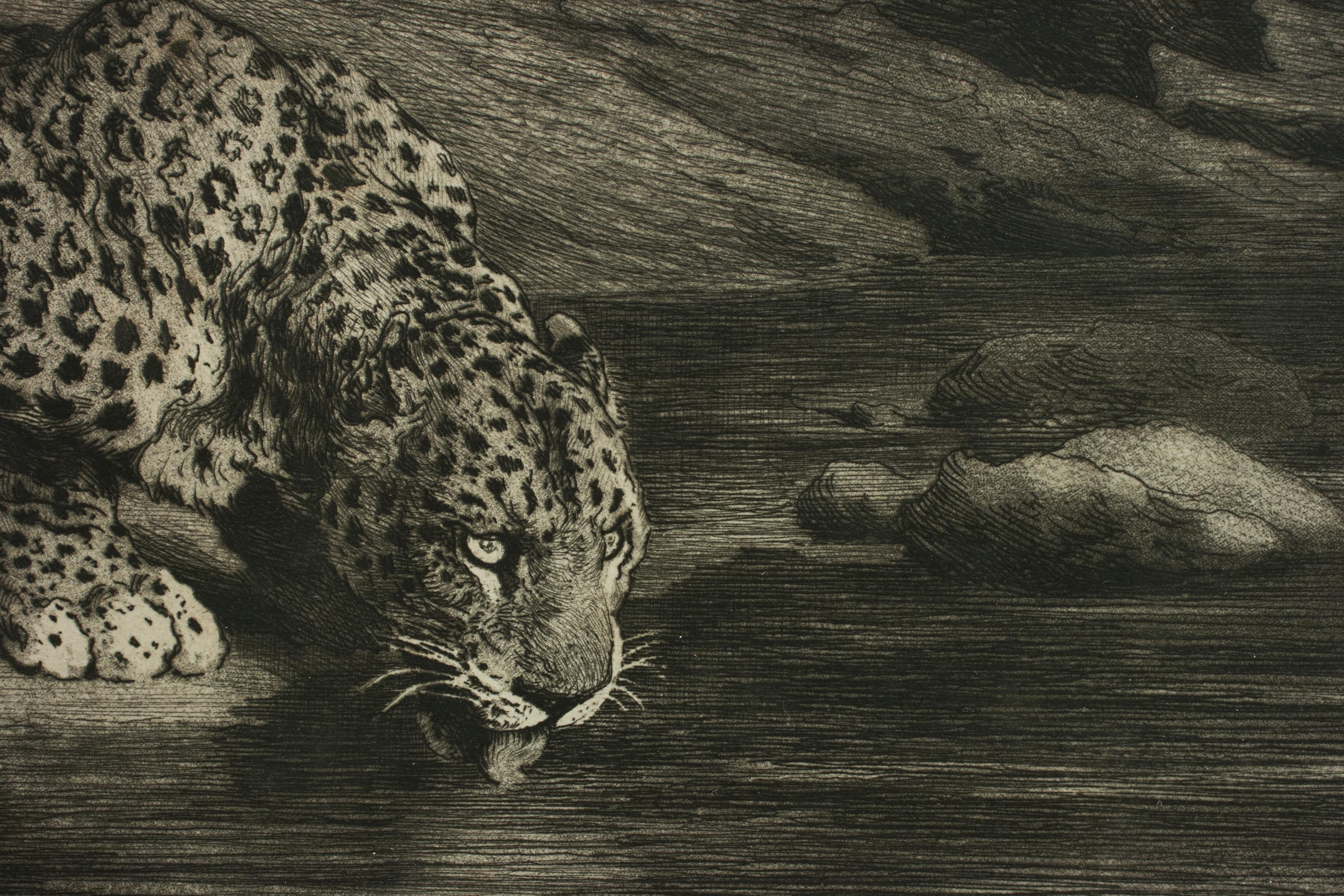 Leopard Drinking from the River by Herbert Dicksee, Drinking at the Waters Edge  1