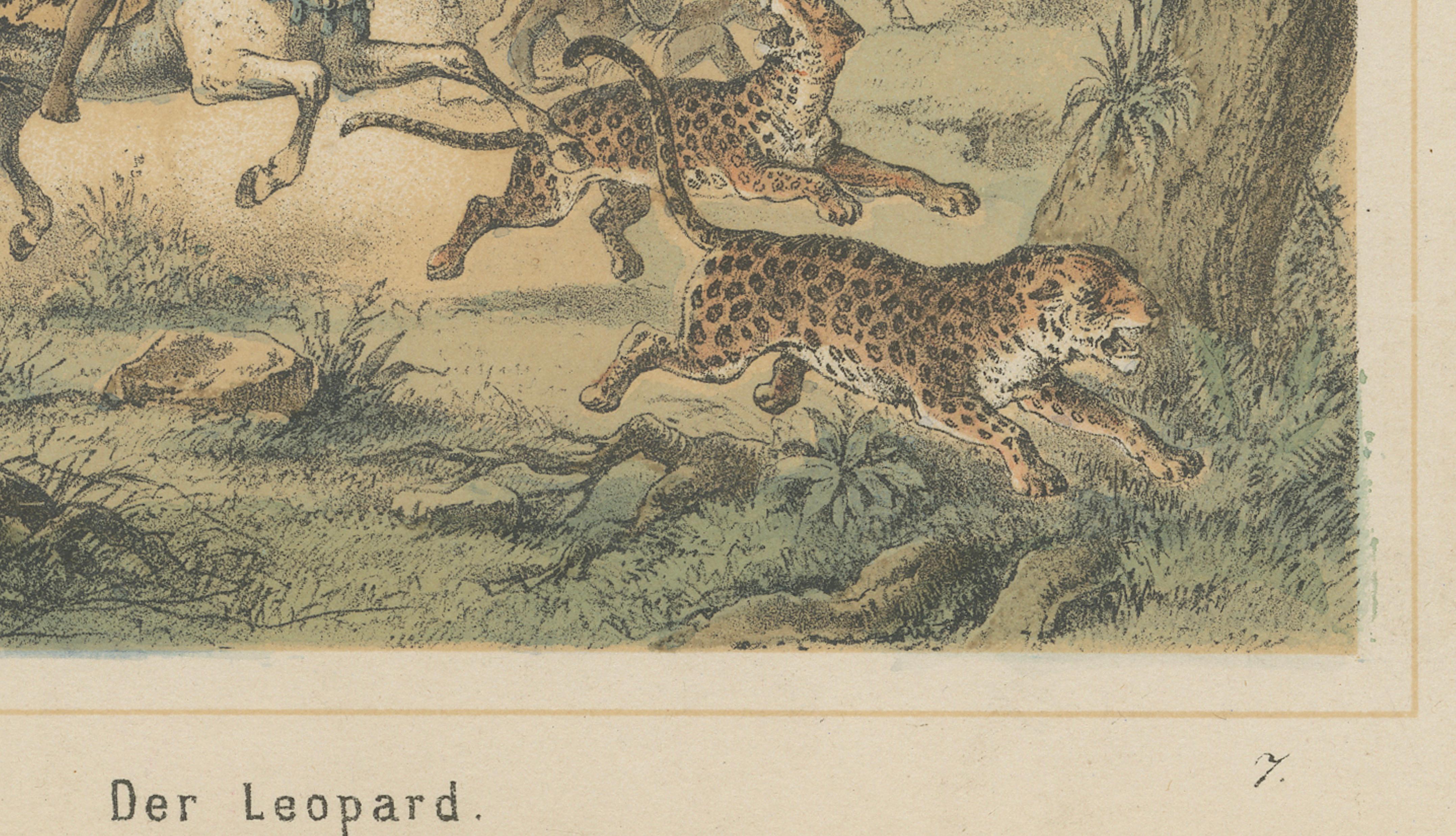 Leopard Hunt in the Jungle – Antique Wildlife Adventure Lithograph, 1883