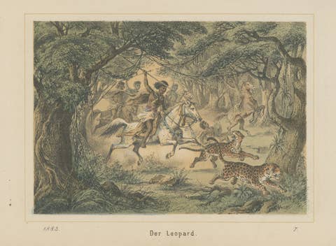 Leopard Hunt in the Jungle – Antique Wildlife Adventure Lithograph, 1883