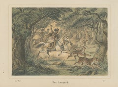 Caccia al leopardo nella giungla - Antica litografia di avventura sulla fauna selvatica, 1883