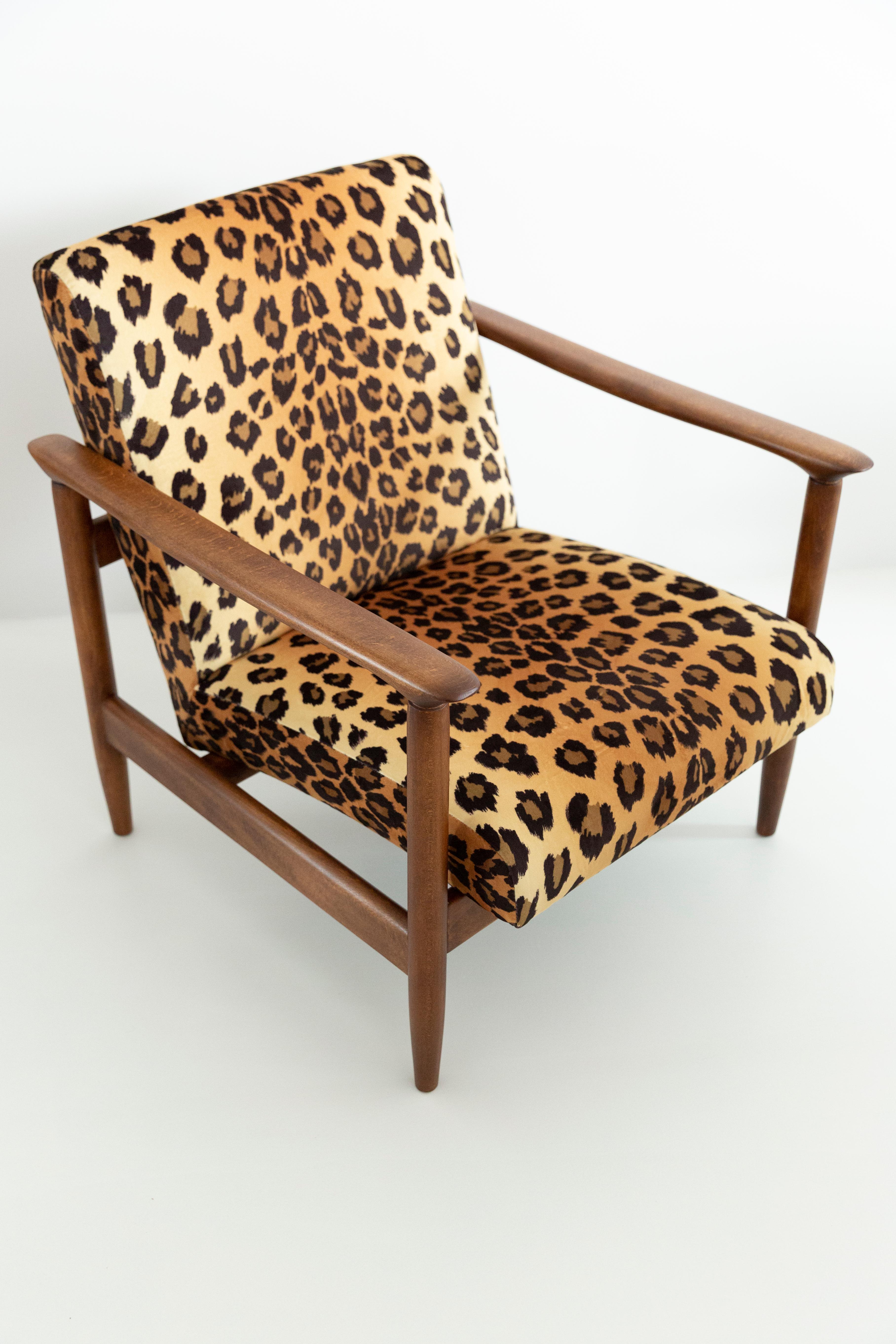 Beautiful Leopard Armchair GFM-142, designed by Edmund Homa, a polish architect, designer of Industrial Design and interior architecture, professor at the Academy of Fine Arts in Gdansk.

The armchair was made in the 1960s in the Gosciecinska