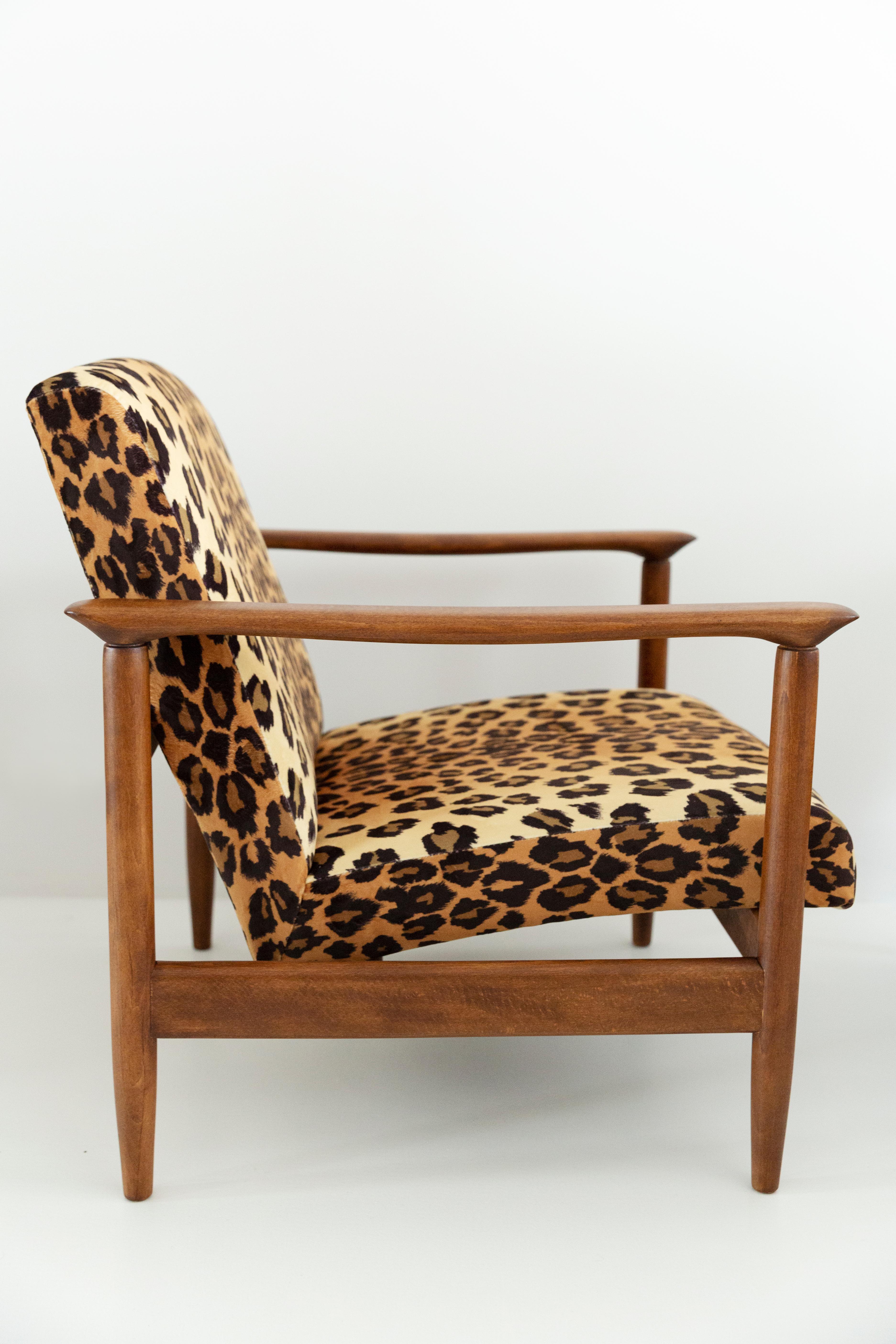 Polacco Poltrona in velluto leopardato, Wood Wood, Edmund Homa, GFM-142, anni '60, Polonia in vendita
