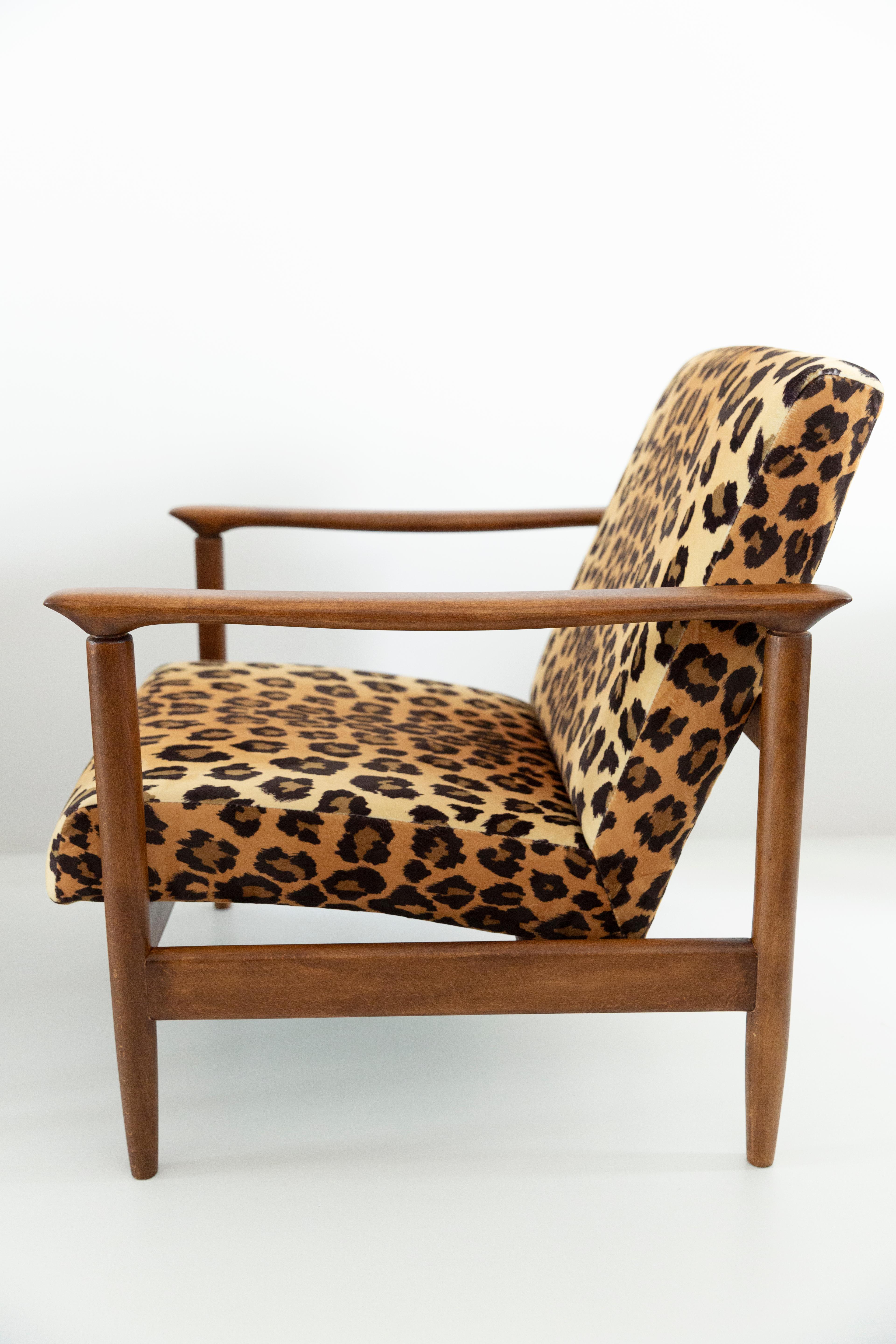 leopard print arm chair