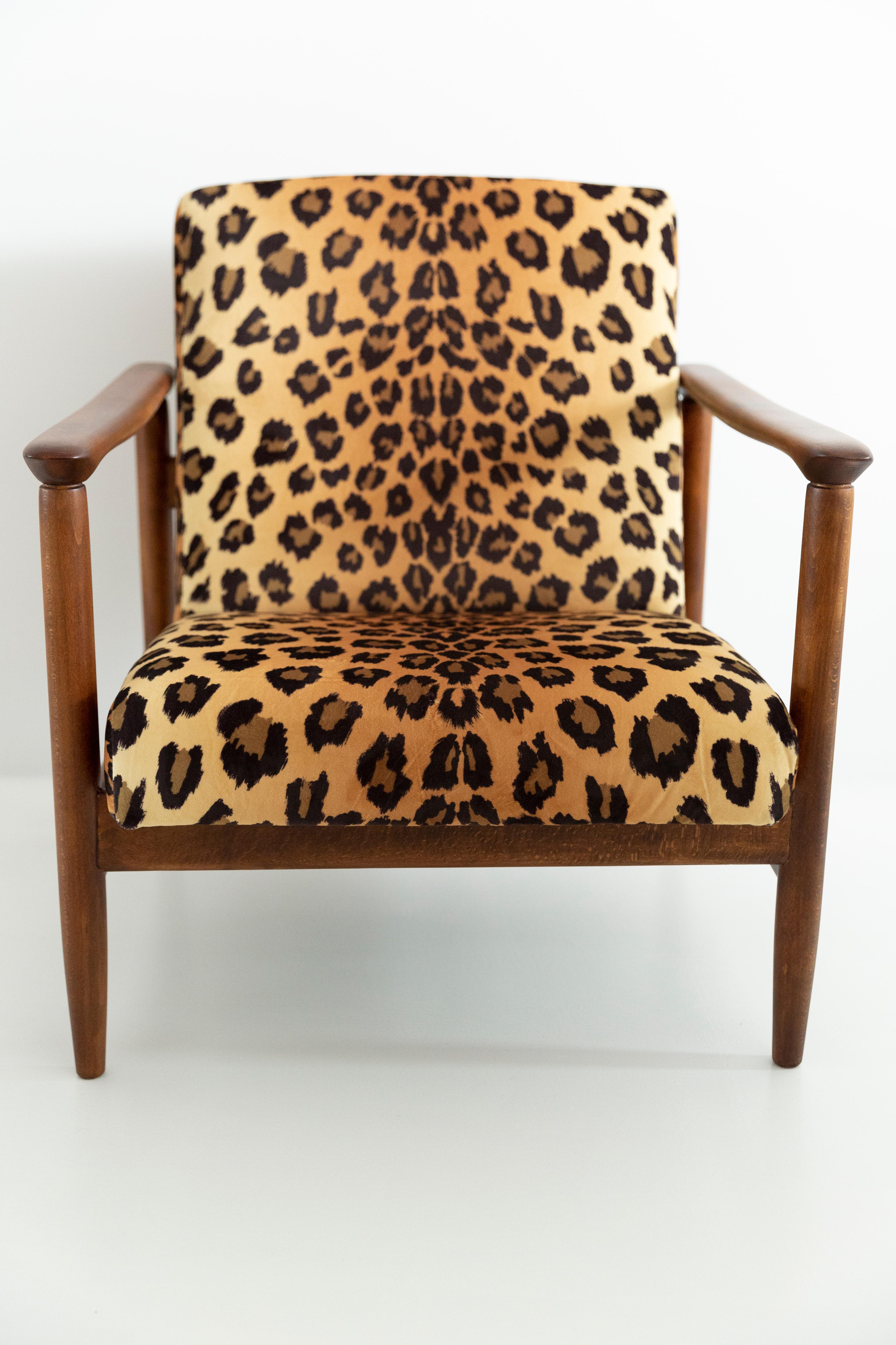 Mid-Century Modern Leopard Print Velvet Armchair, Light Wood, Edmund Homa, GFM-142, 1960s, Poland For Sale