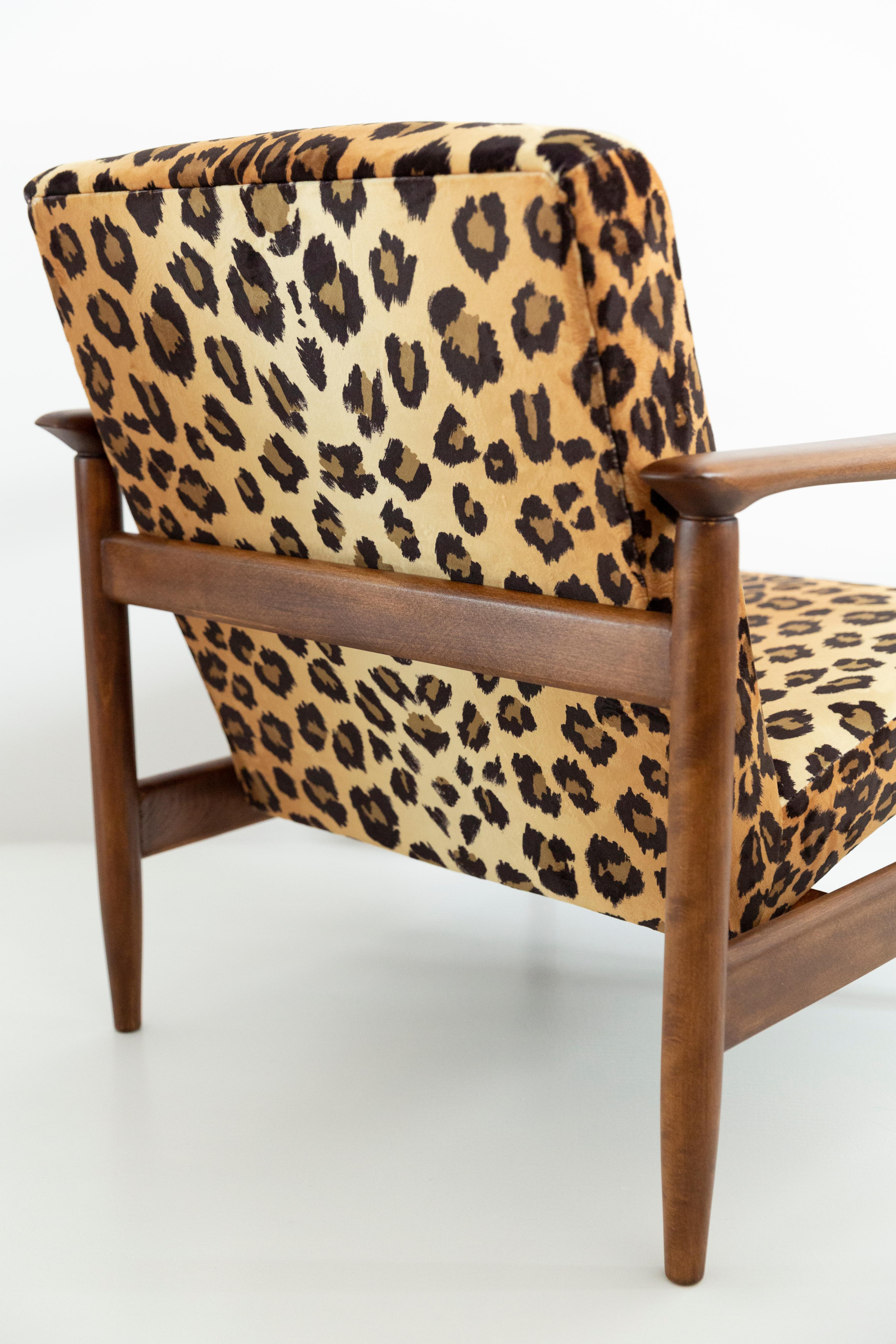 Leopard Print Velvet Armchair, Light Wood, Edmund Homa, GFM-142, 1960s, Poland In Excellent Condition For Sale In 05-080 Hornowek, PL