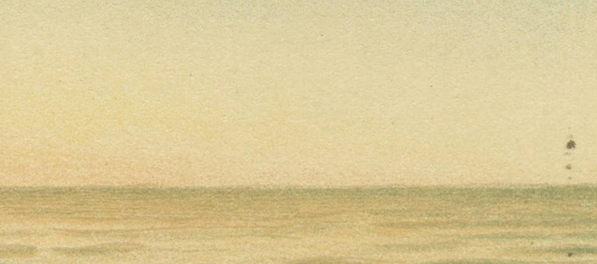 Leopard Seal – Antique Marine Mammal Chromolithograph, 1894
