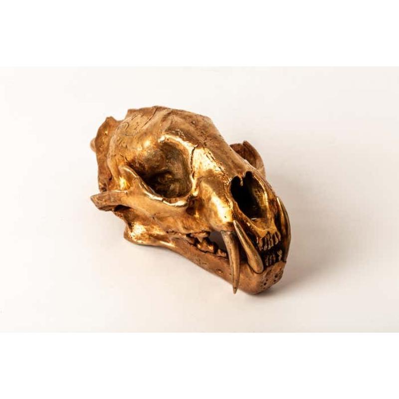 Women's or Men's Leopard Skull (AM) For Sale