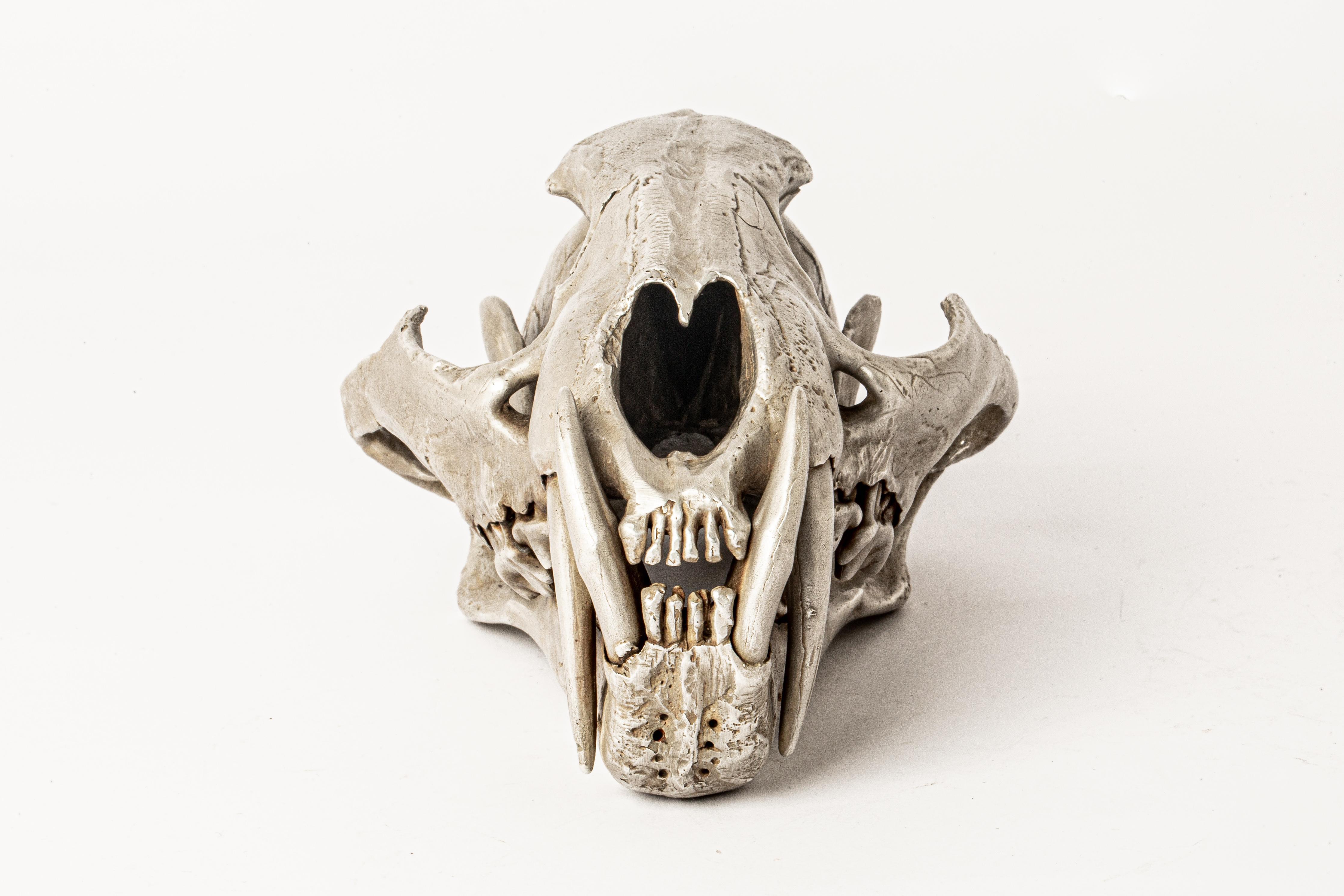 Leopard Skull in brass. It is a striking and intriguing piece of art, capturing the essence of the majestic leopard in a unique and captivating form. Brass substrate is electroplated with silver and then dipped into acid to create the subtly