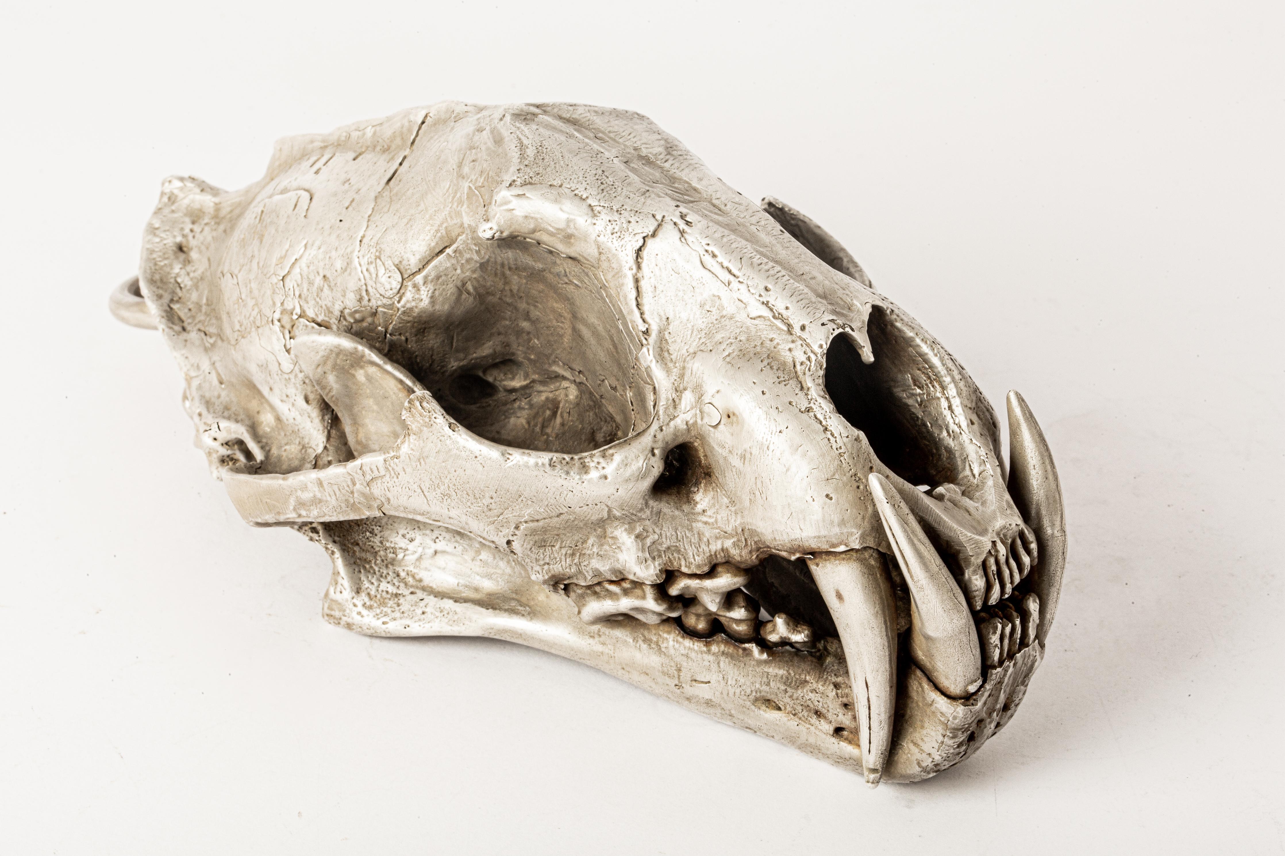 Leopard Skull (AS) In New Condition For Sale In PARIS, FR