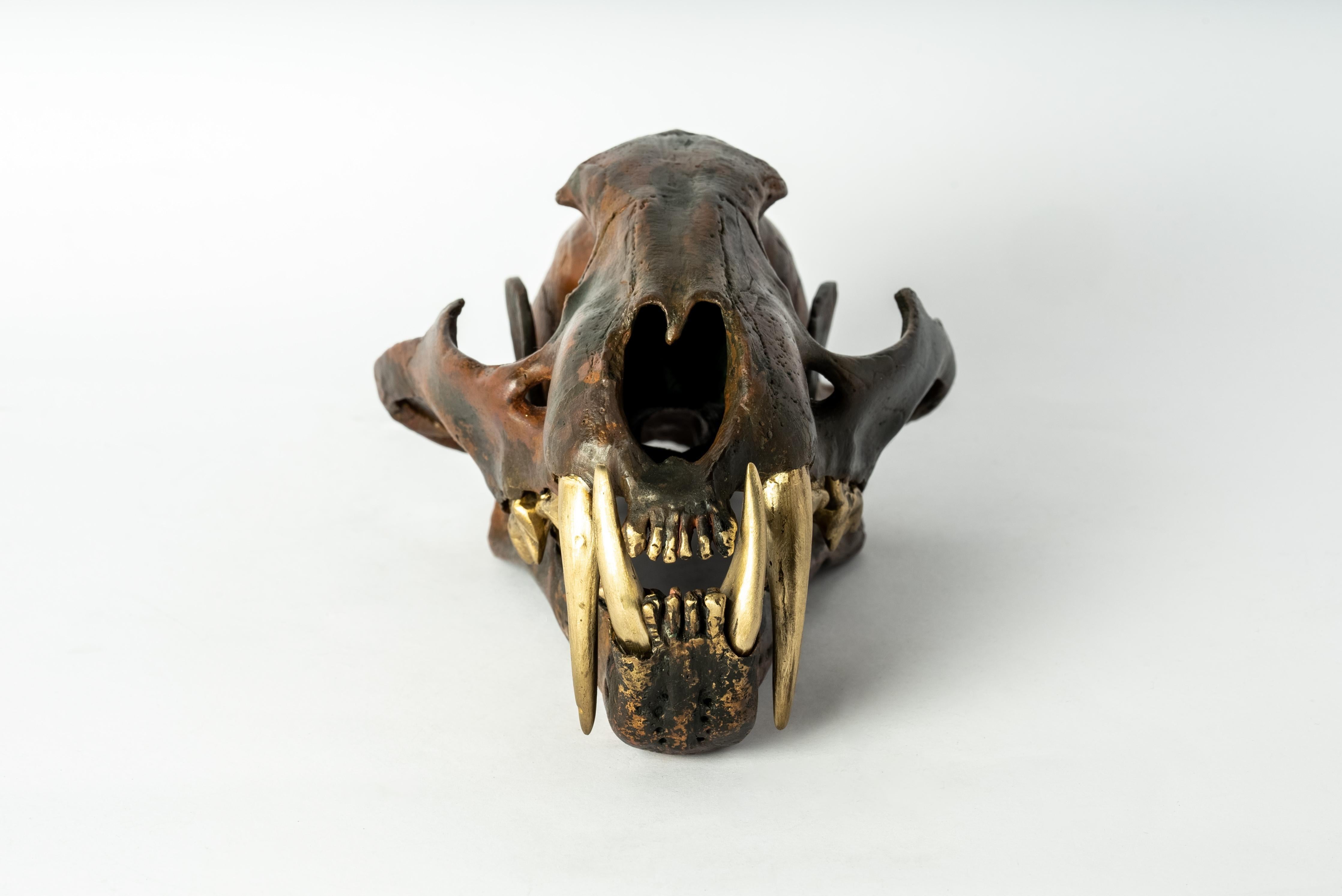Leopard Skull in brass. It is a striking and intriguing piece of art, capturing the essence of the majestic leopard in a unique and captivating form. Its construction adds a touch of elegance to the fierce and powerful symbolism of the leopard,