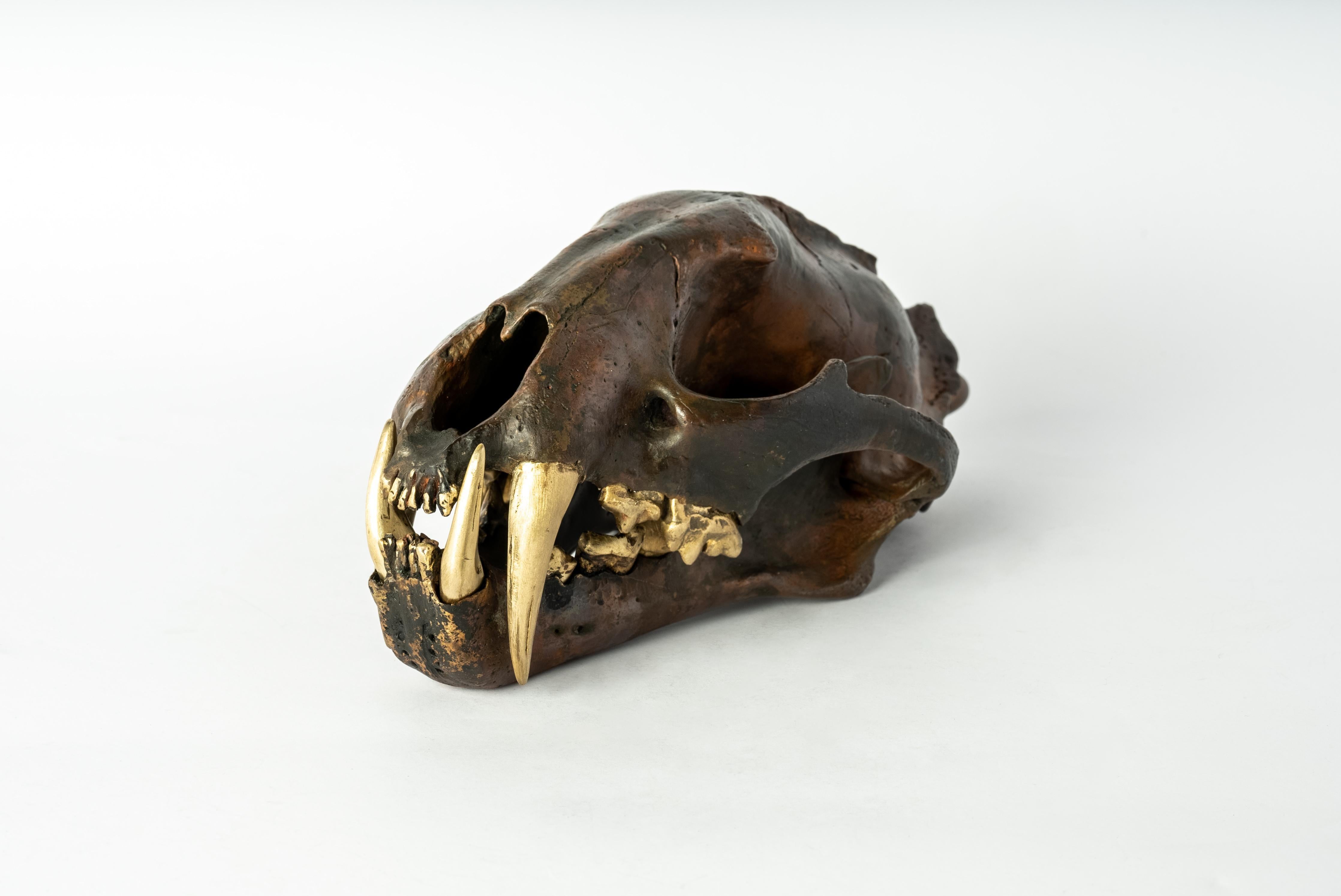 skull wealth leopard
