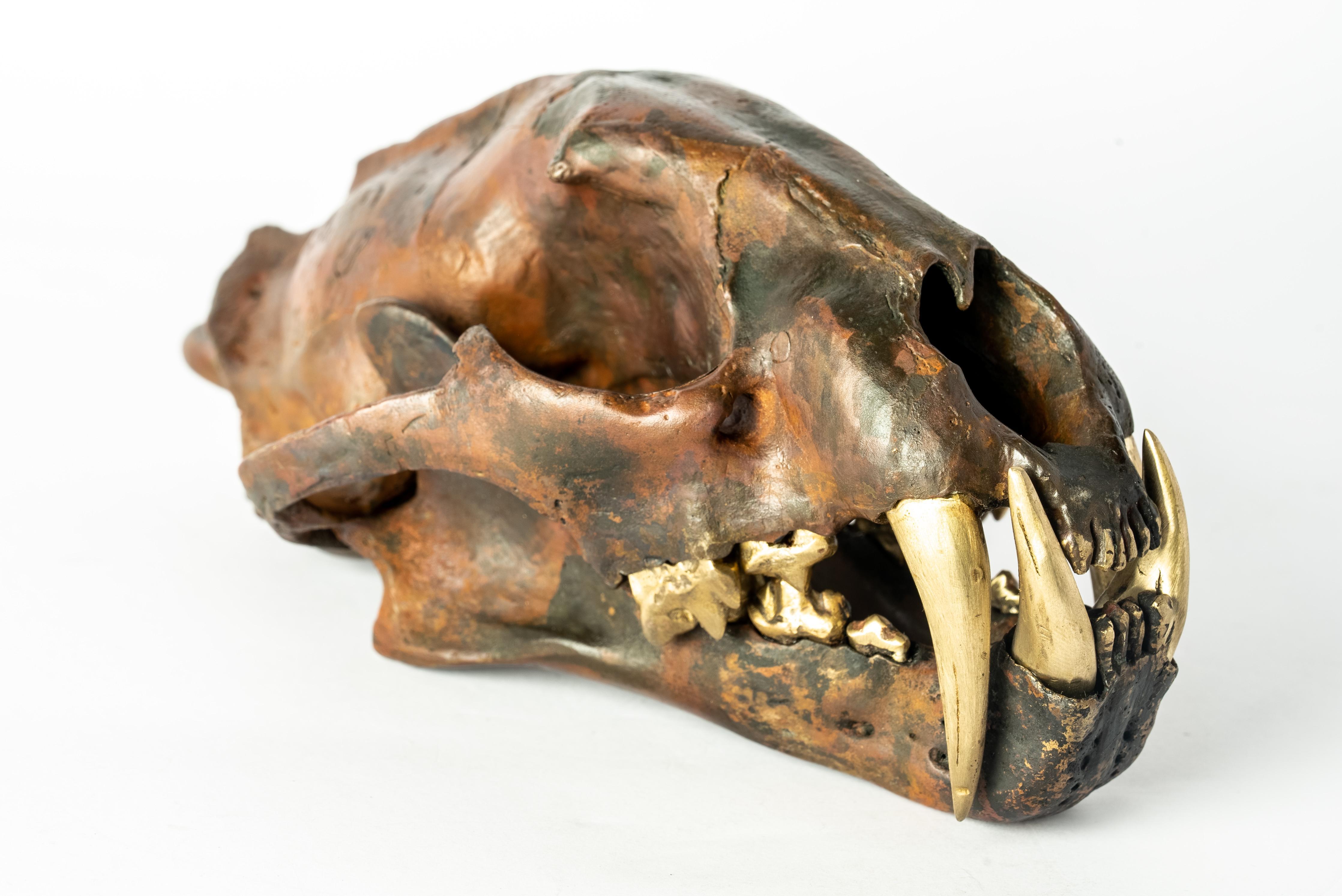Leopard Skull (DR+MR) In New Condition For Sale In Hong Kong, Hong Kong Island