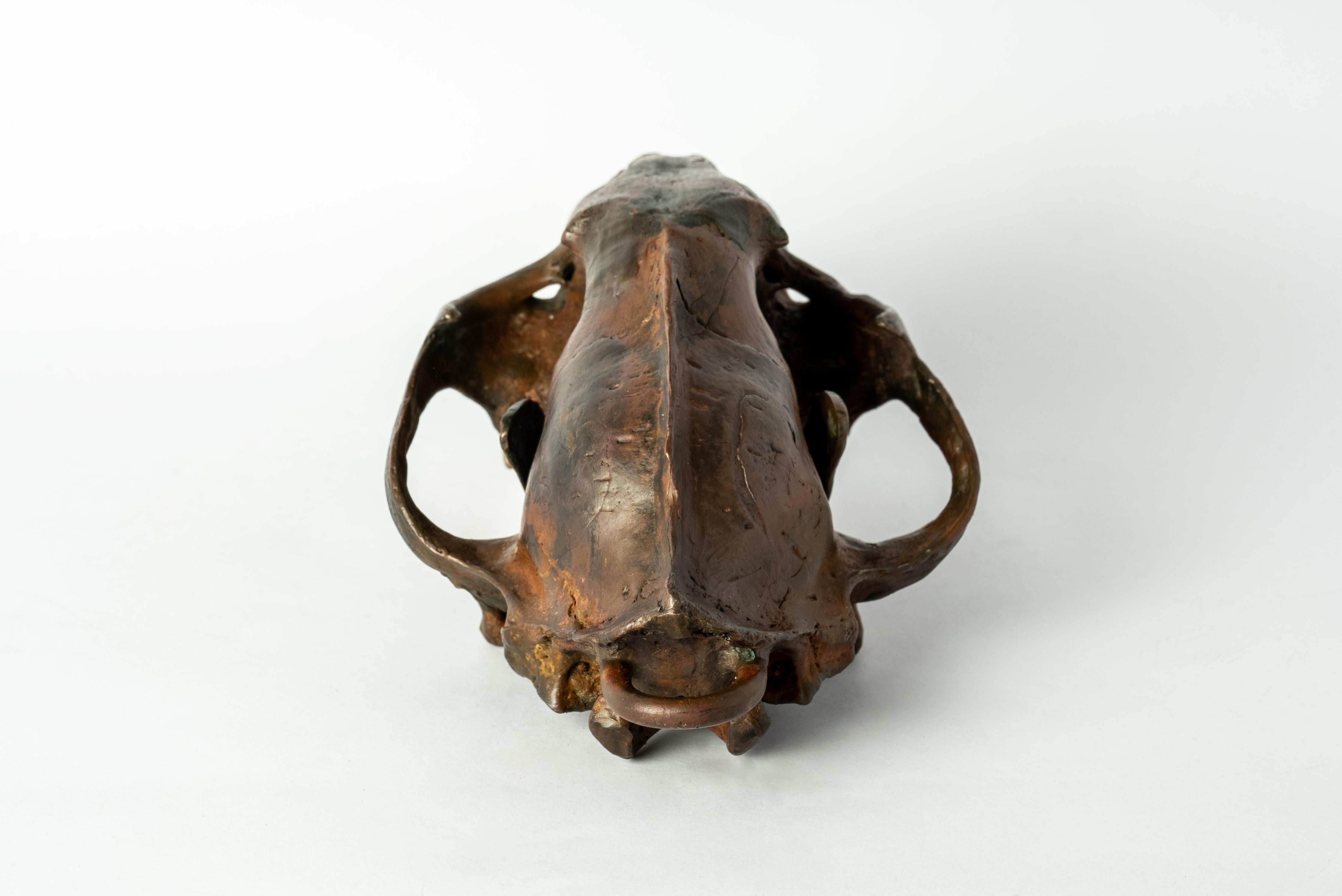 Leopard Skull (DR+MR) In New Condition For Sale In Hong Kong, Hong Kong Island