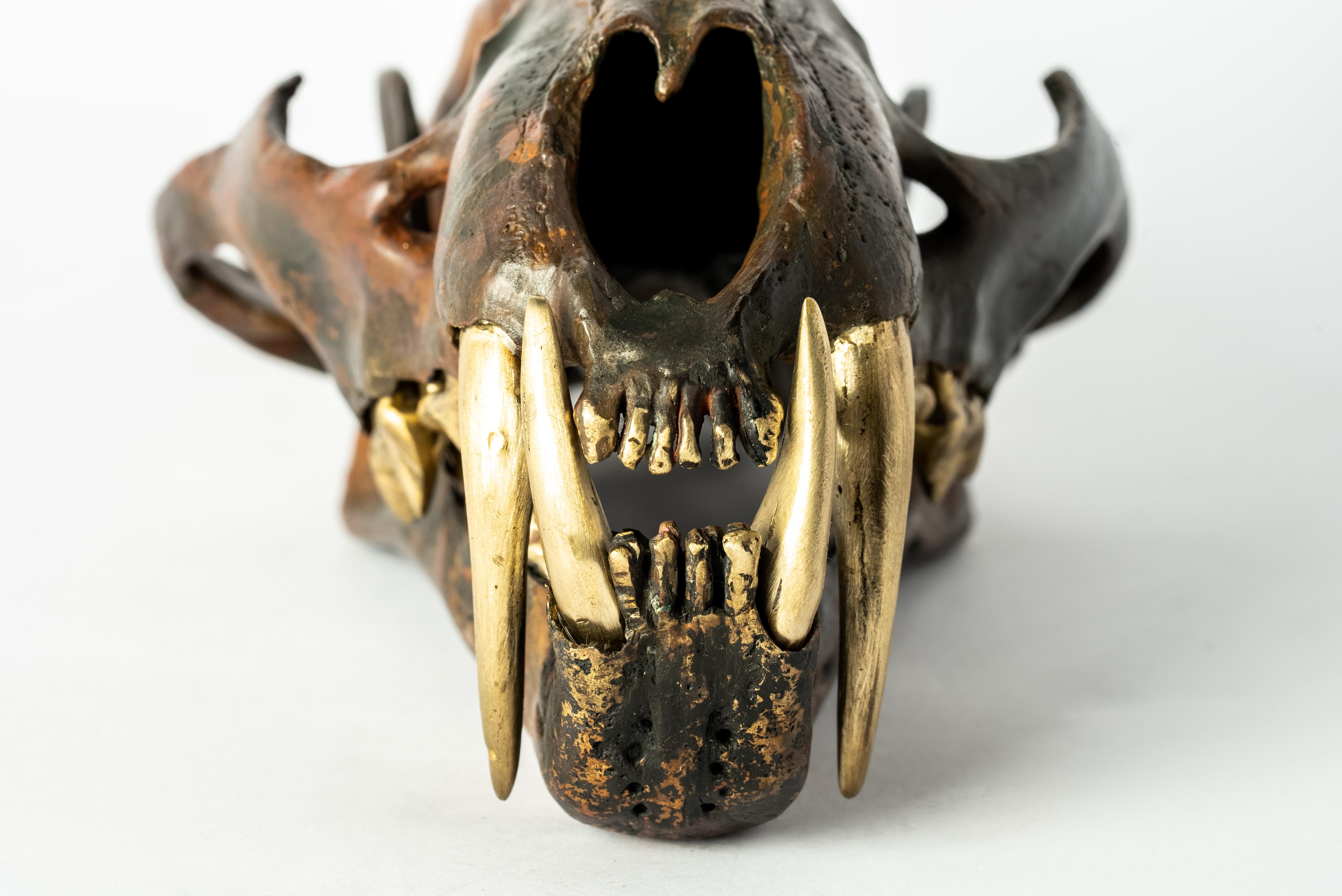 Leopard Skull (DR+MR) In New Condition For Sale In PARIS, FR