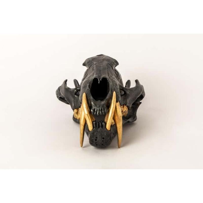 Leopard Skull in brass. Brass substrate is electroplated with 18k Rose Gold. It is a striking and intriguing piece of art, capturing the essence of the majestic leopard in a unique and captivating form. Its construction adds a touch of elegance to