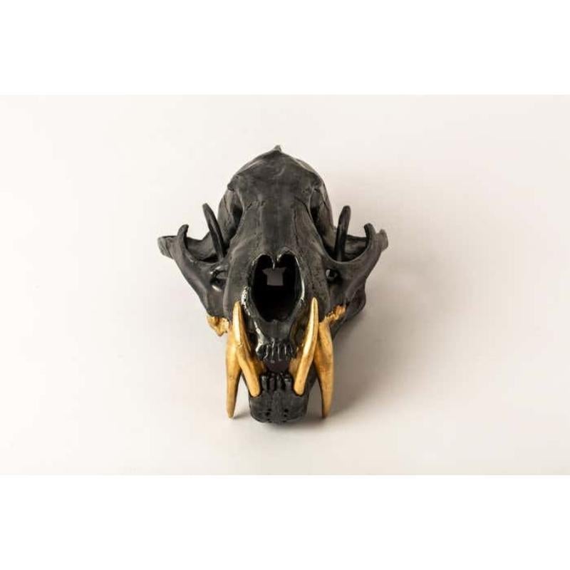 Women's or Men's Leopard Skull (KAS+AG) For Sale