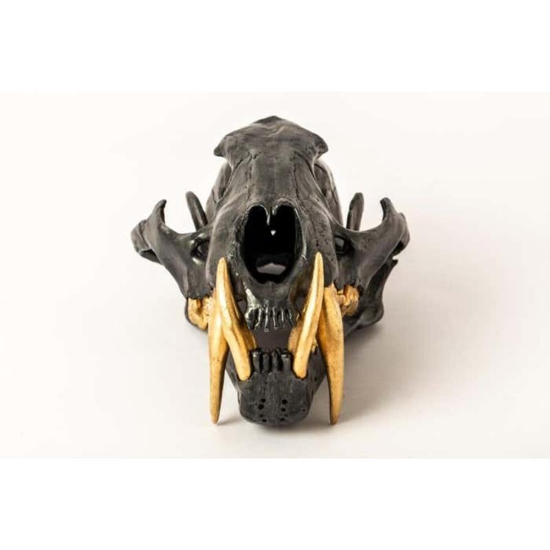 Leopard Skull (KAS+AG) For Sale 2