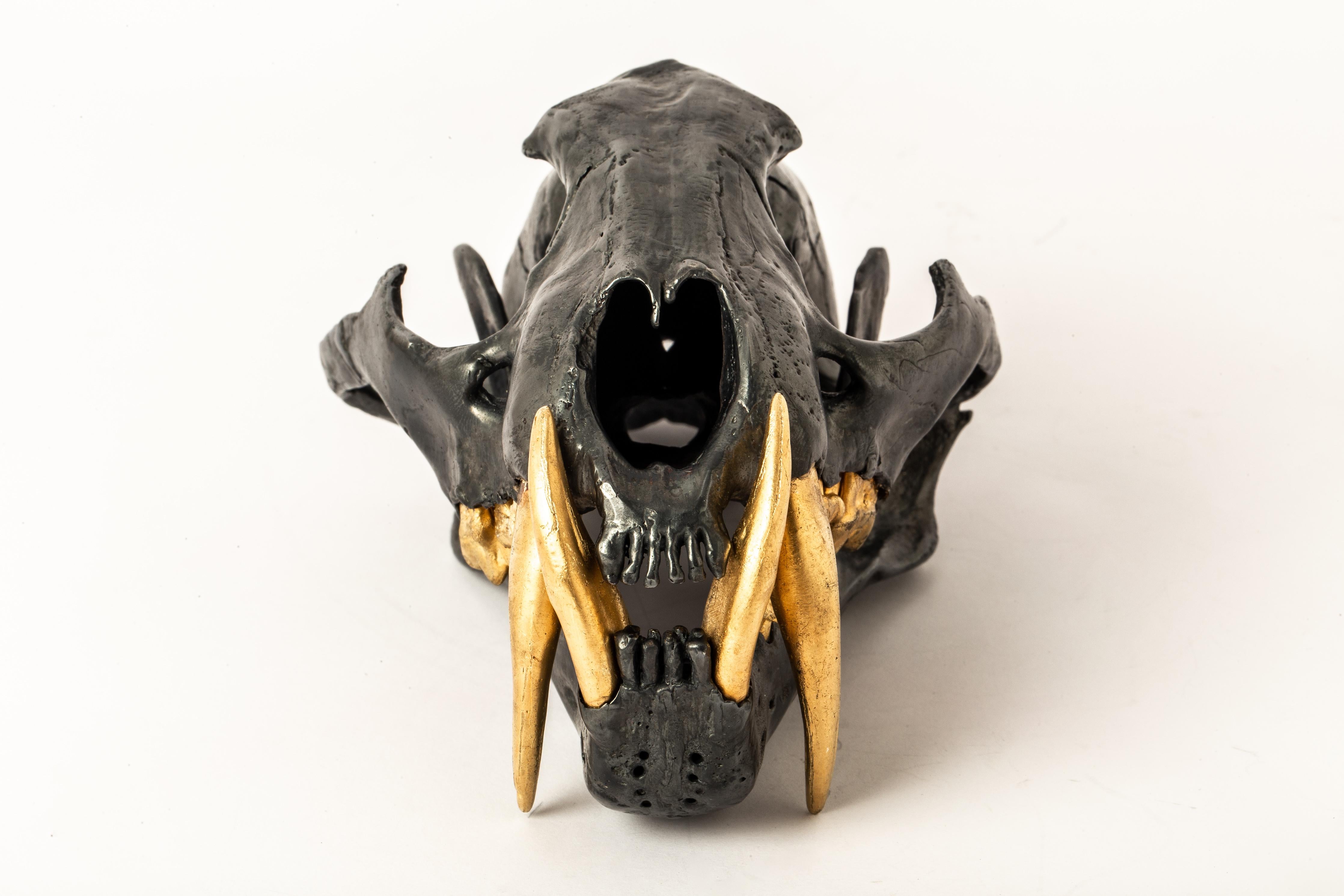 Leopard Skull (KAS+AG) In New Condition For Sale In PARIS, FR