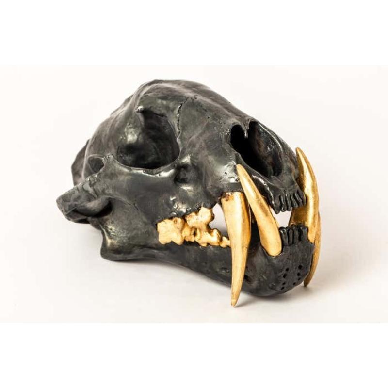 Leopard Skull (KAS+AG) For Sale 3
