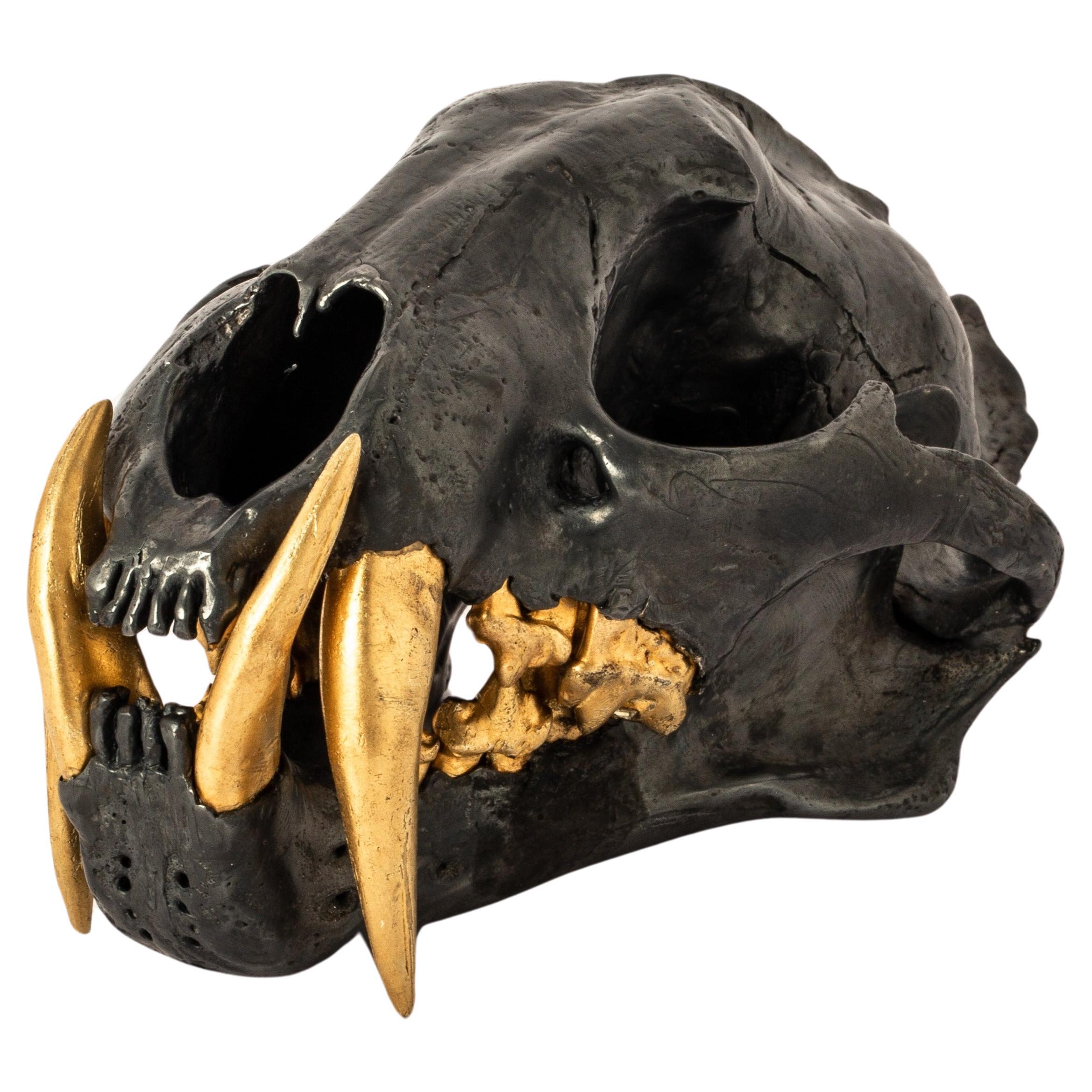 Leopard Skull (KAS+AG) For Sale
