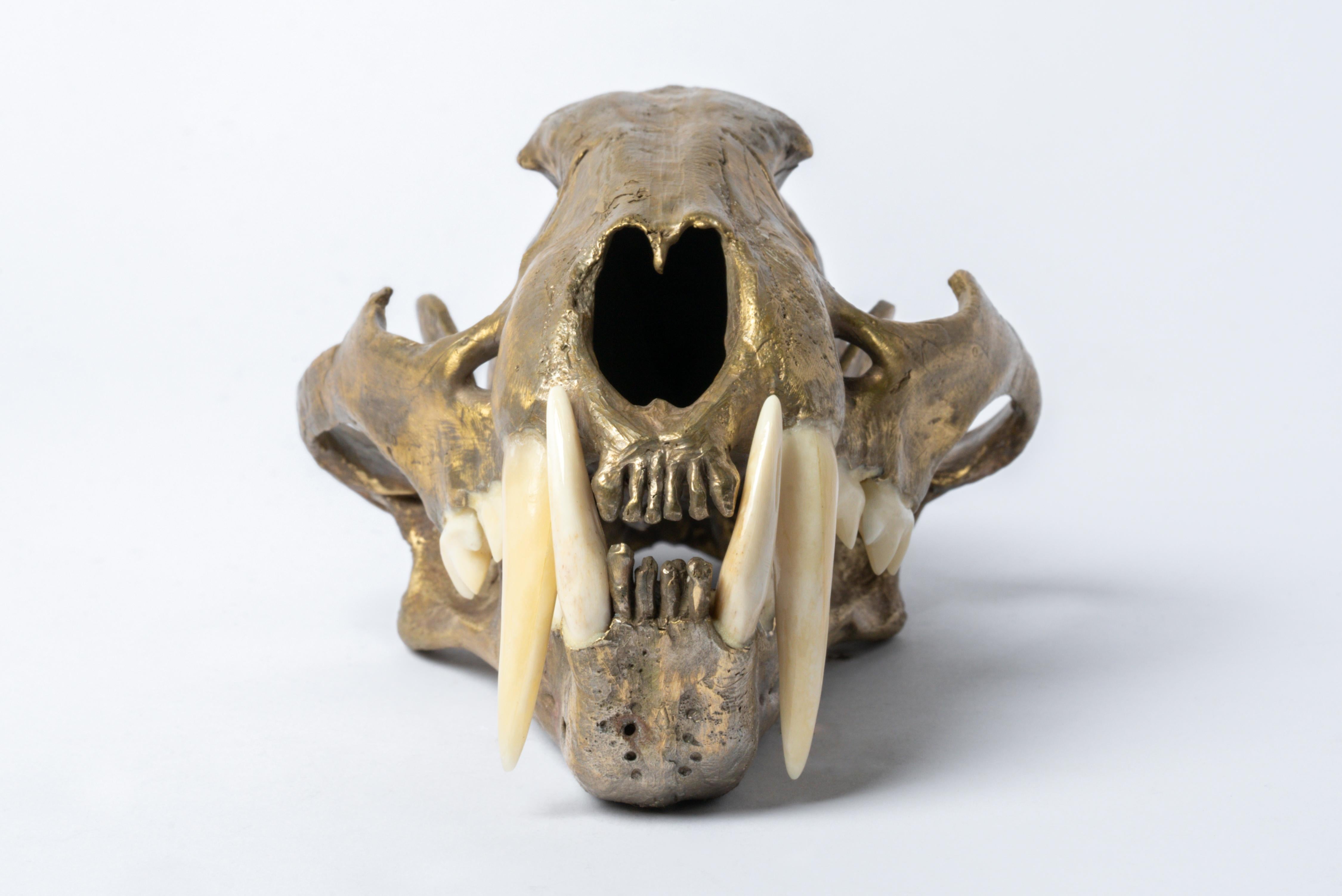 Leopard Skull in matte brass. It is a striking and intriguing piece of art, capturing the essence of the majestic leopard in a unique and captivating form. Its construction adds a touch of elegance to the fierce and powerful symbolism of the