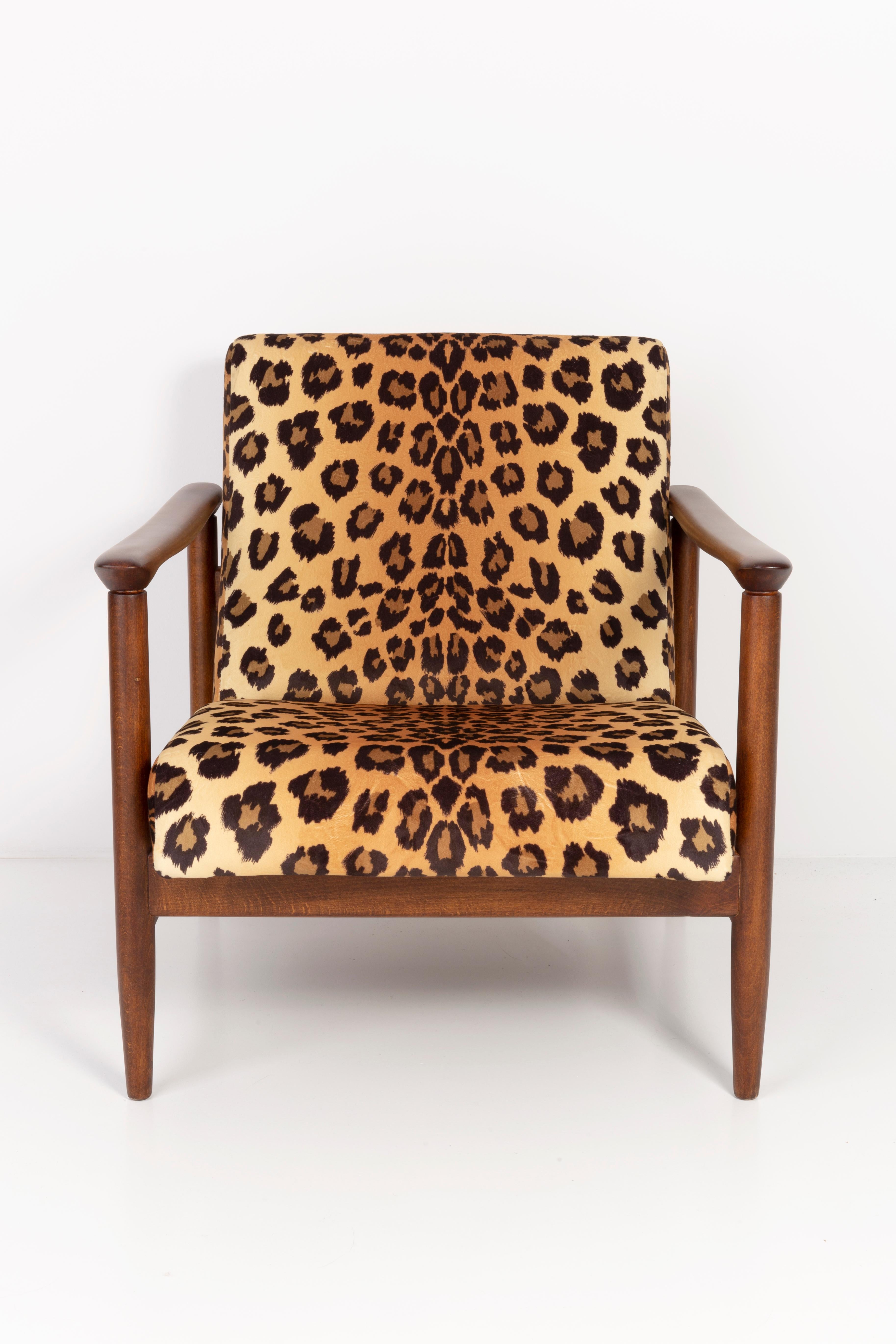 Wunderschöner Leoparden-Sessel GFM-142, entworfen von Edmund Homa, einem polnischen Architekten, Designer für Industriedesign und Innenarchitektur, Professor an der Akademie der Schönen Künste in Danzig.

Der Sessel wurde in den 1960er Jahren in der