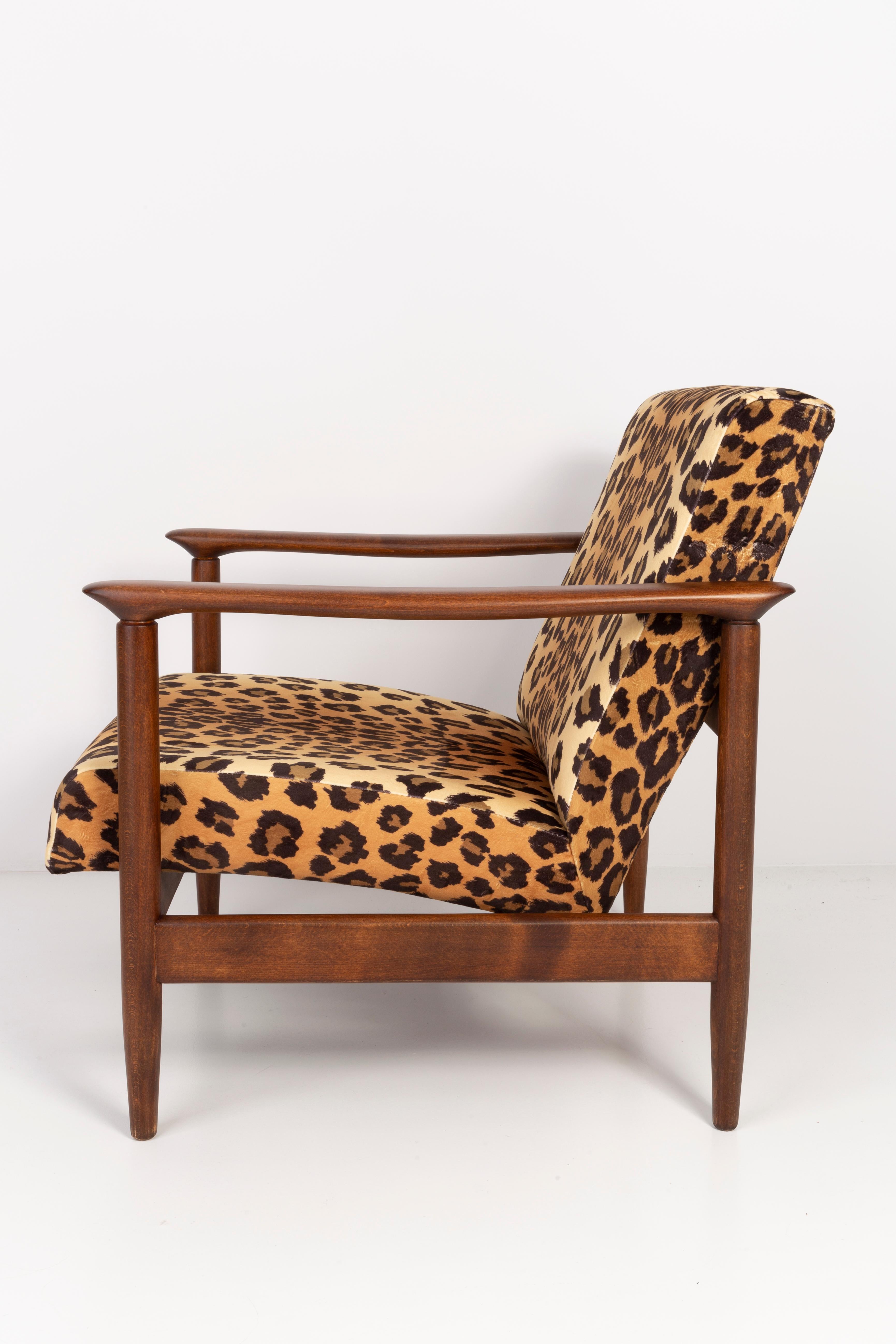 Leopard-Sessel aus Samt, Hollywood Regency, Dunkelholz, Edmund Homa, Polen, 1960er Jahre (Polnisch) im Angebot