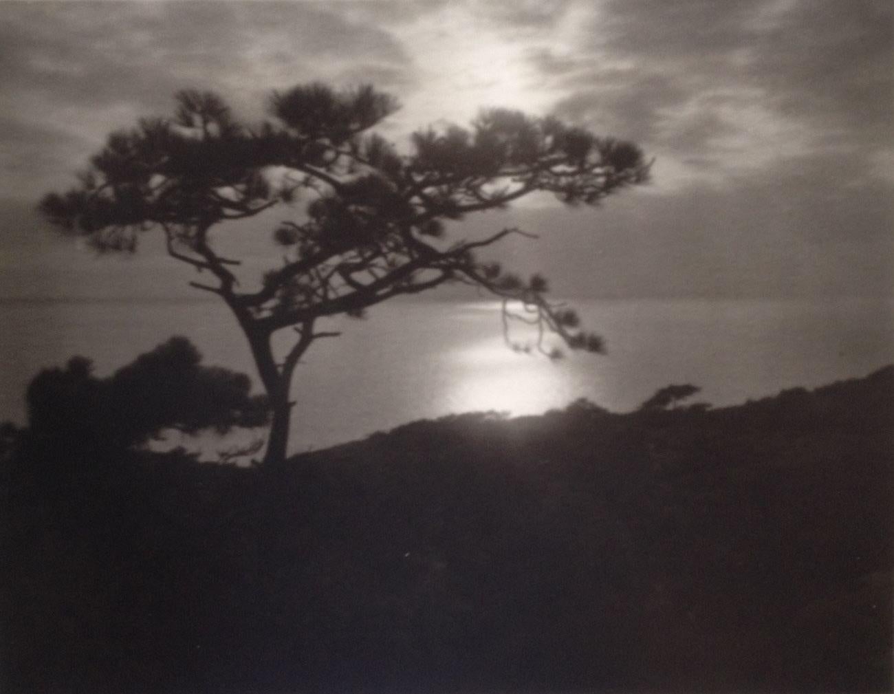 Leopold Hugo  Black and White Photograph - Cliffside Tree
