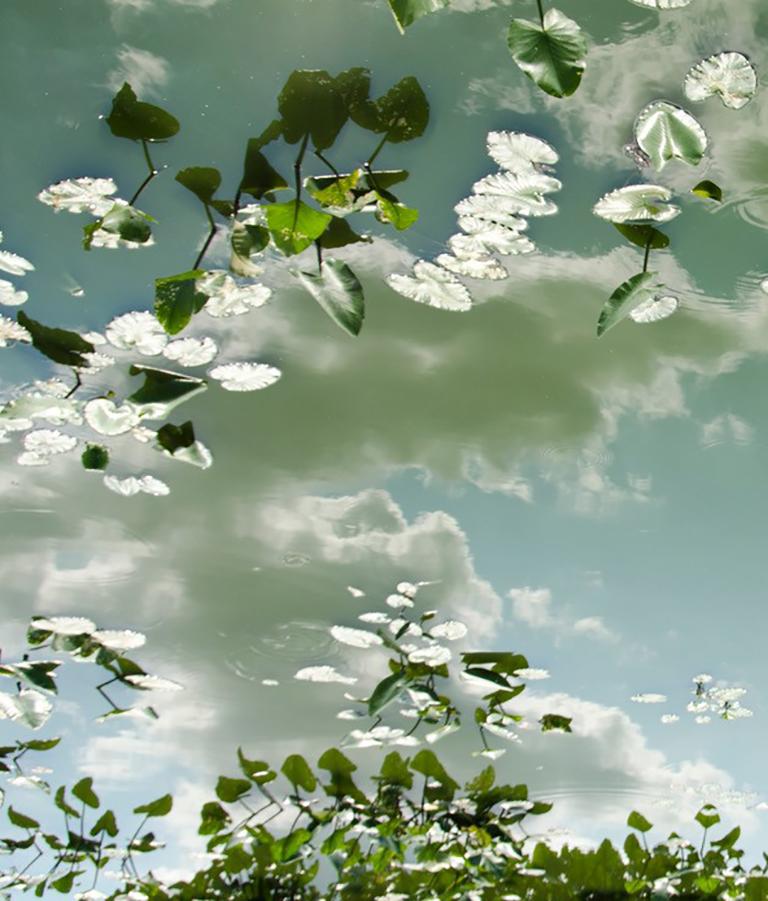 Horizon Fields LXIII (Landscape Photo of Sky Reflected in Water with Lilypads) - Photograph by Lependorf and Shire