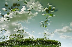 Horizon Fields LXIII (Landscape Photo of Sky Reflected in Water with Lilypads)