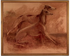 Greyhounds