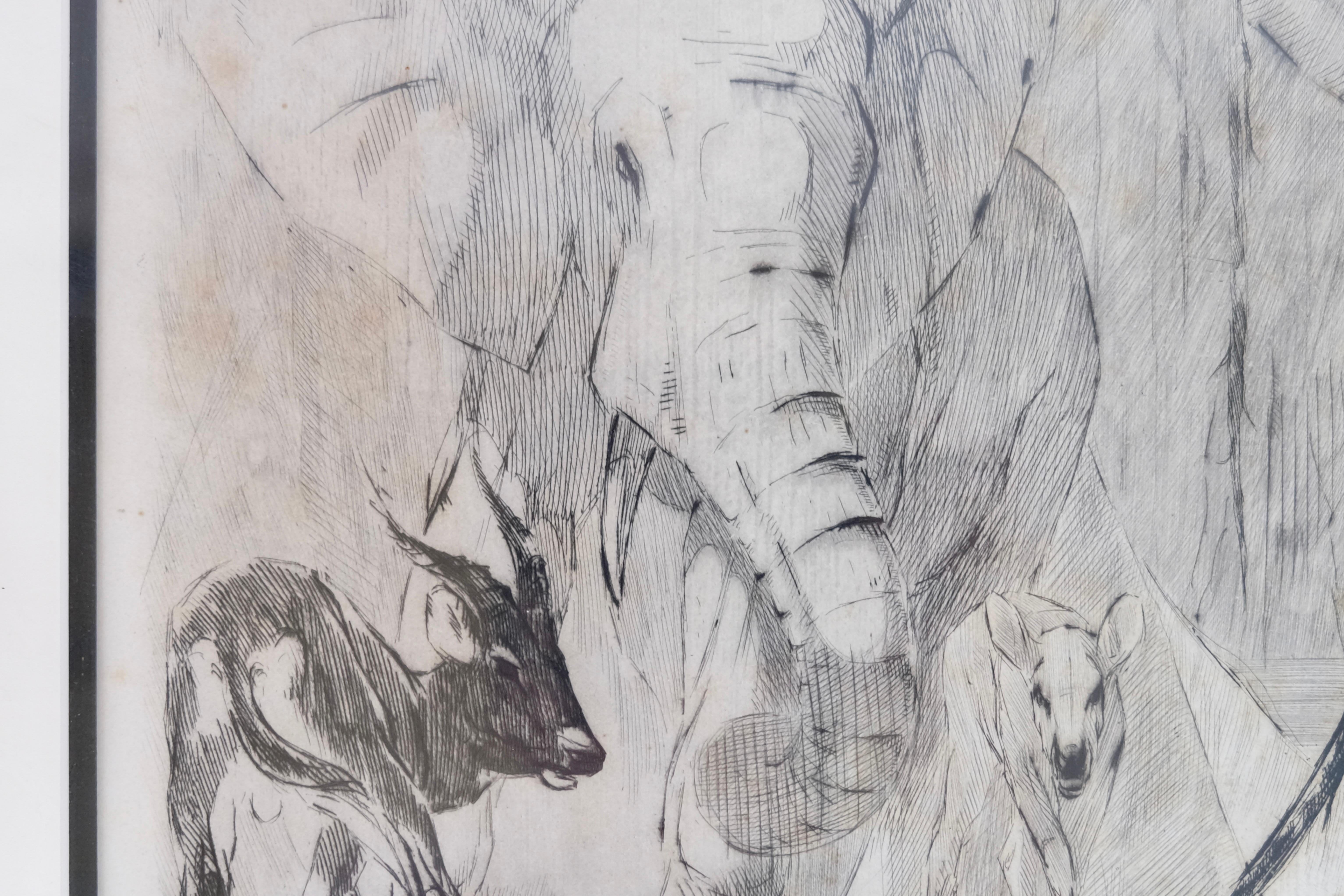 Mid-Century Modern Les Animaux d'Afrique, Etching and Drypoint by Odette Denis For Sale
