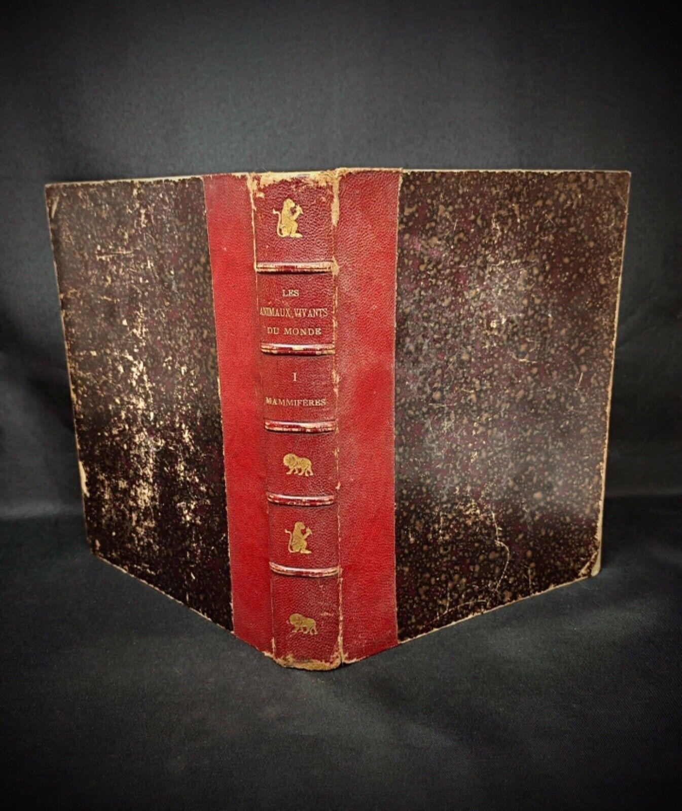Questo è il tomo 1 - Mammiferi di Les Animaux Vivants du Monde, scritto da Charles J. Cornish e pubblicato da Ernest Flammarion. Il libro, che contiene 384 pagine, è in discrete condizioni e mostra la sua età. La copertina presenta qualche segno di
