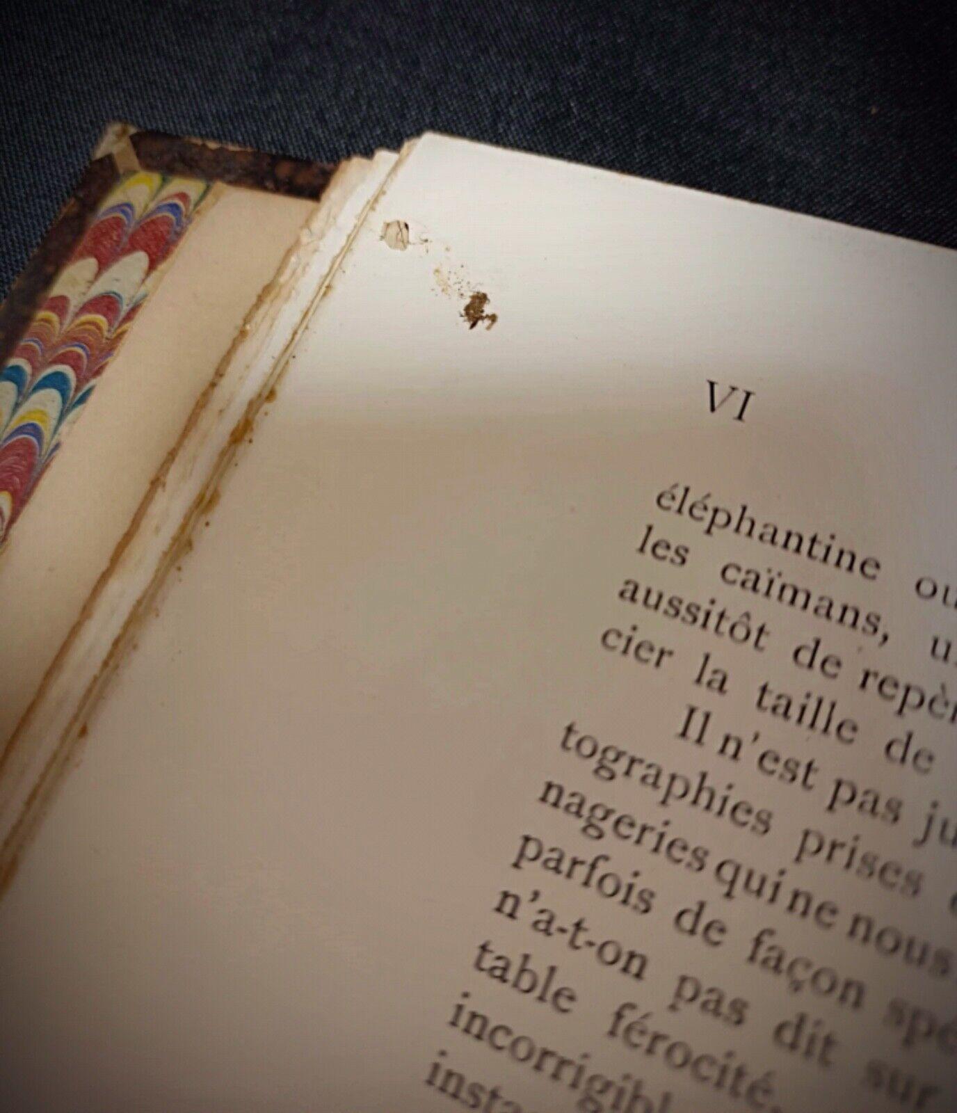 Les Animaux Vivants du Monde: Tomo 1 - Mammiferi di Charles J. Charles Cornish - 2Y151 in vendita 1