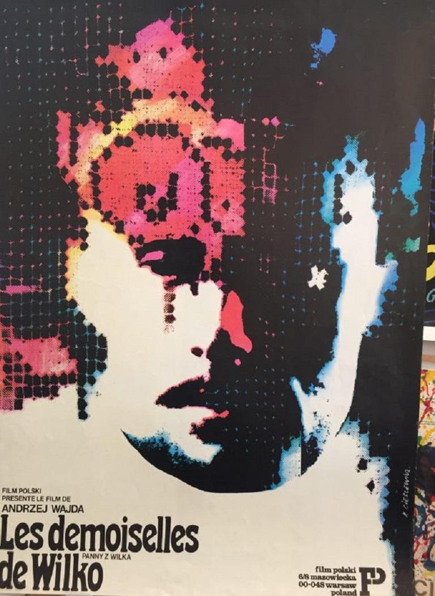 Les Demoiselles De Wilko Polish Film Poster Original Vintage