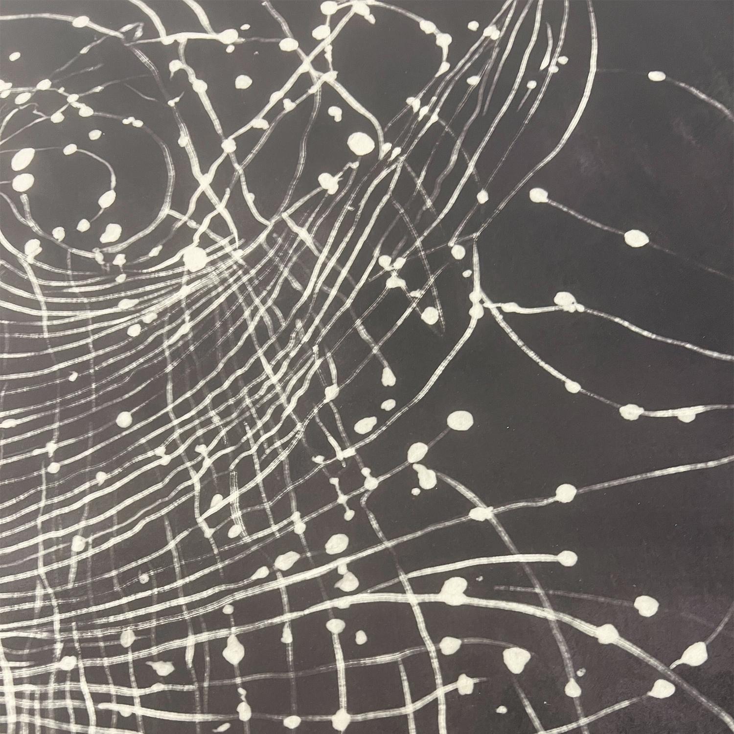 „Les Etoiles“ Kunstdruck in limitierter Auflage von Christiane Lemieux - 40