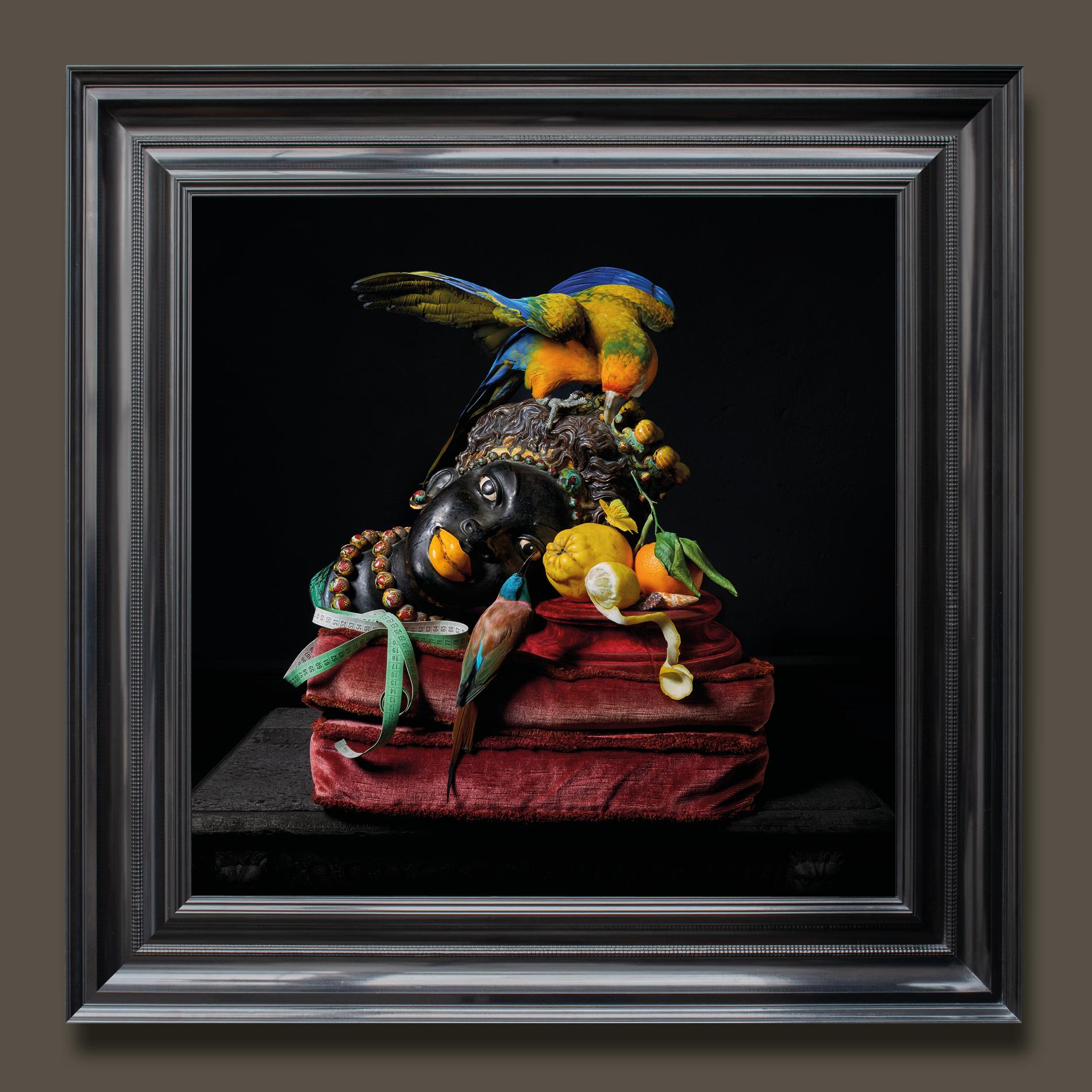 ‘Les Peintures des Taxidermistes’ No. 1. Art Print Photo by Sinke & Van Tongeren For Sale 3